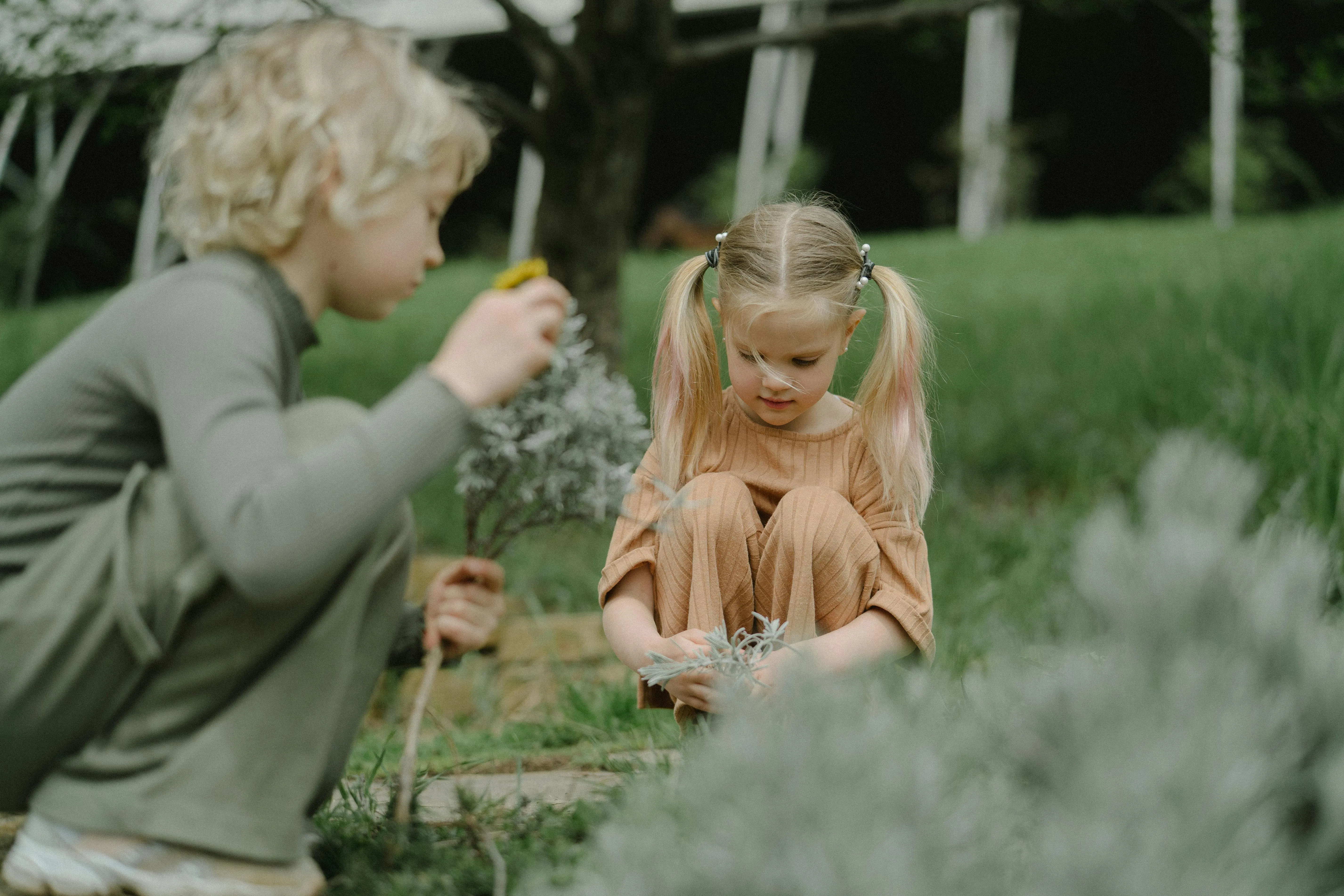 Anastasia Shuraeva on Pexels