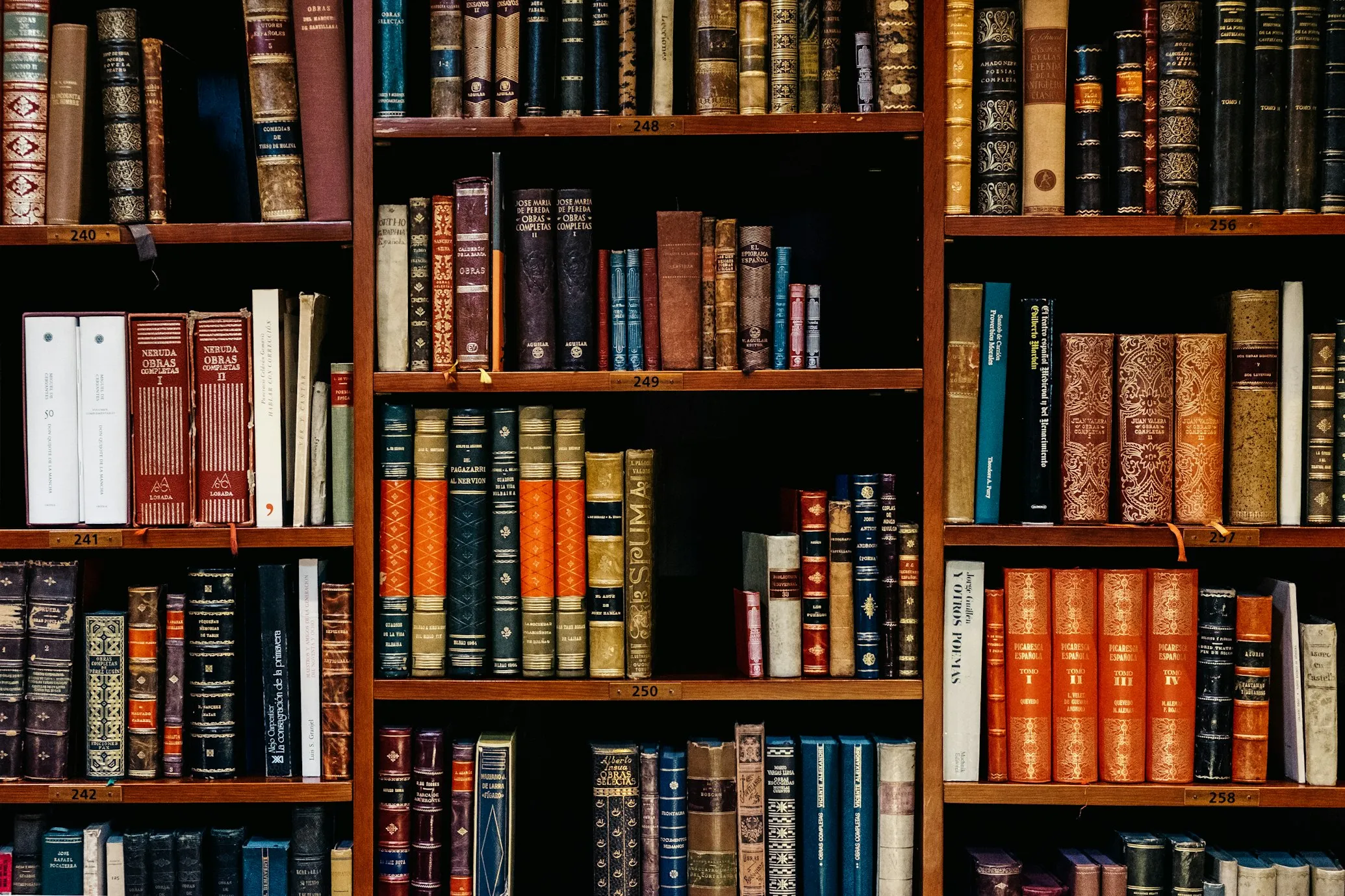  Iñaki del Olmo from Unsplash
