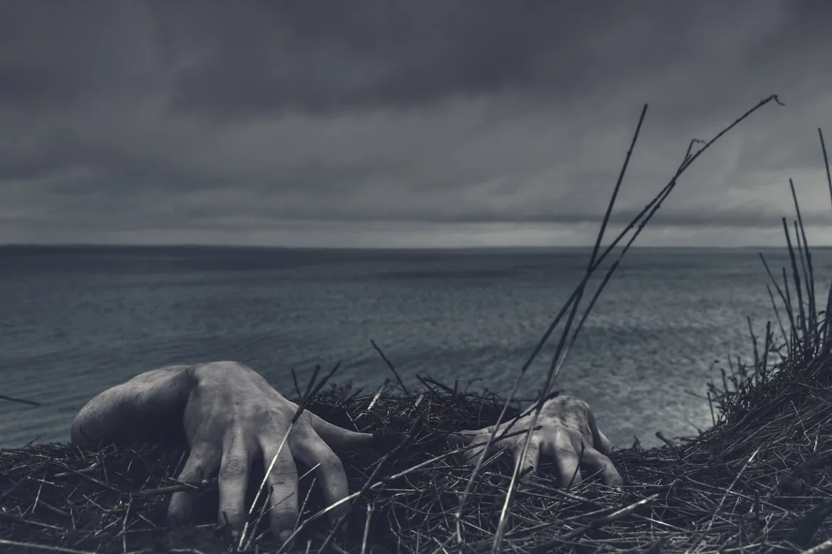  Daniel Jensen from Unsplash