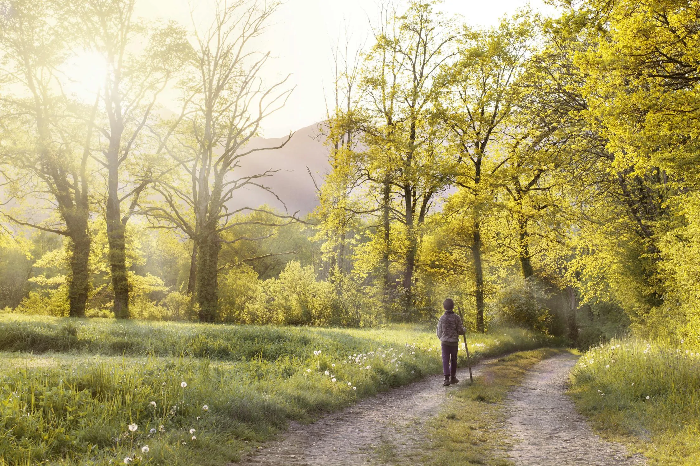 15 Breathtaking Spring Walks and Hikes in the U.S. Everyone Should Experience at Least Once