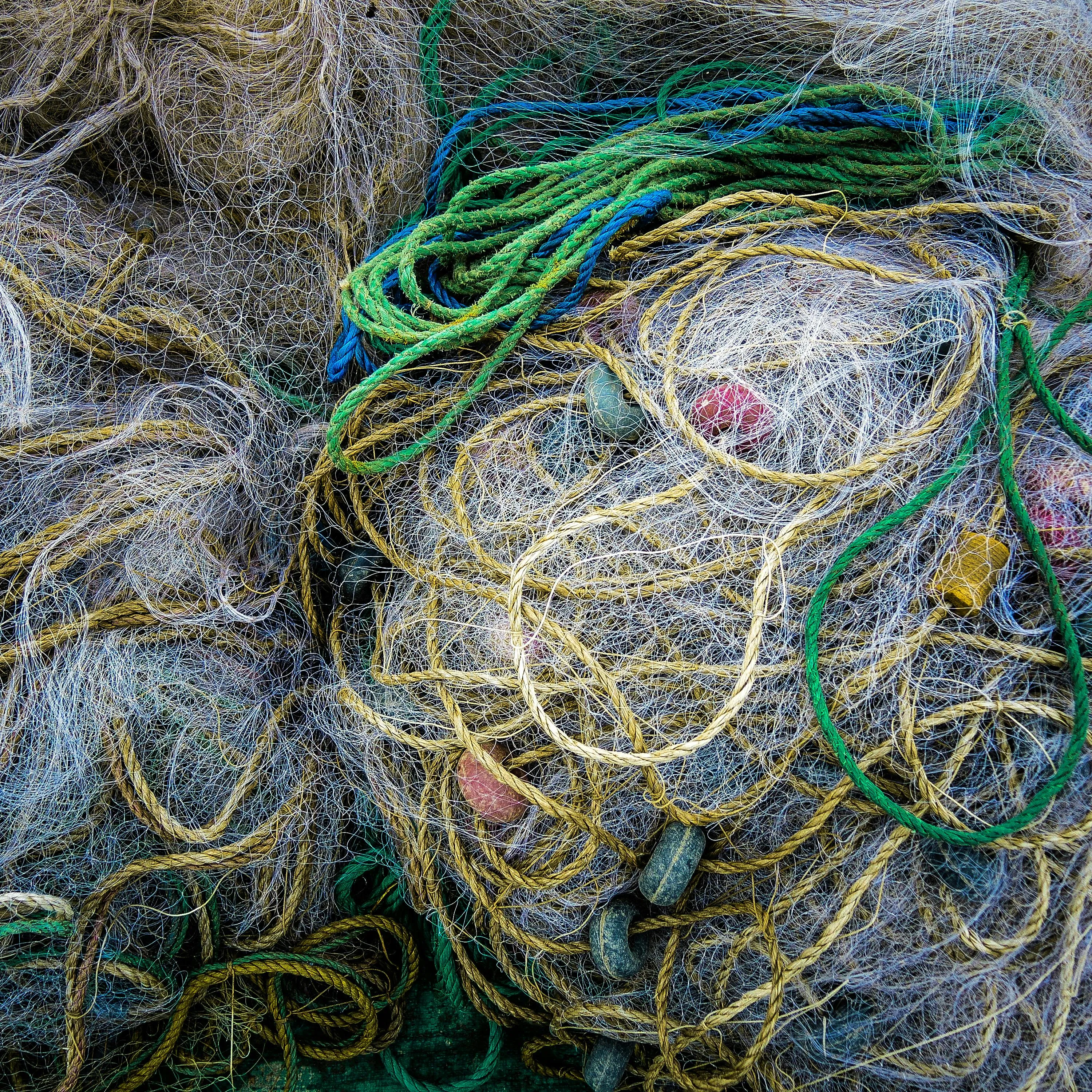 Alexander Grigorian on Pexels