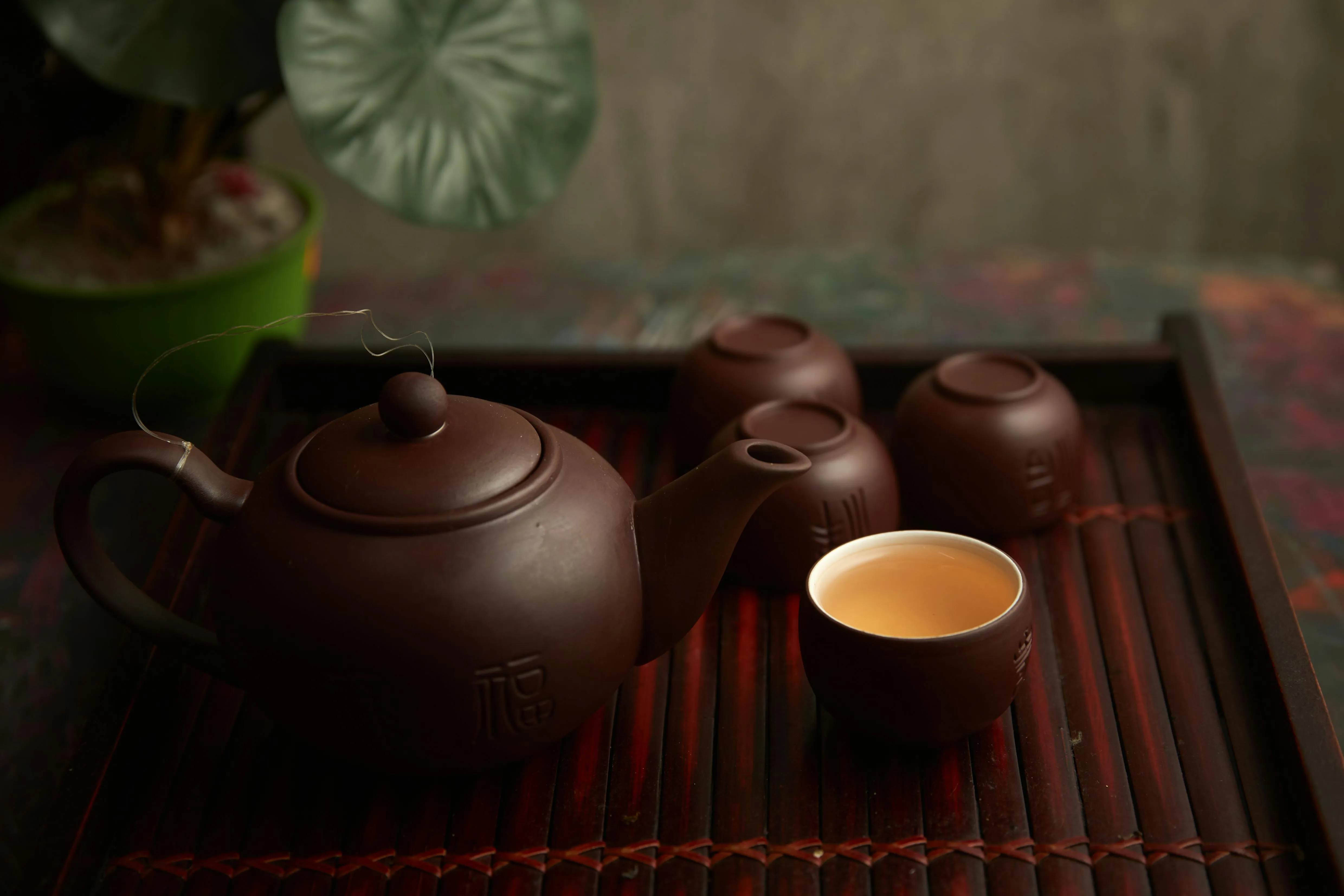 Son Tung Tran on Pexels