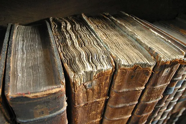 Tom Murphy VII on Wikiemdia Commons