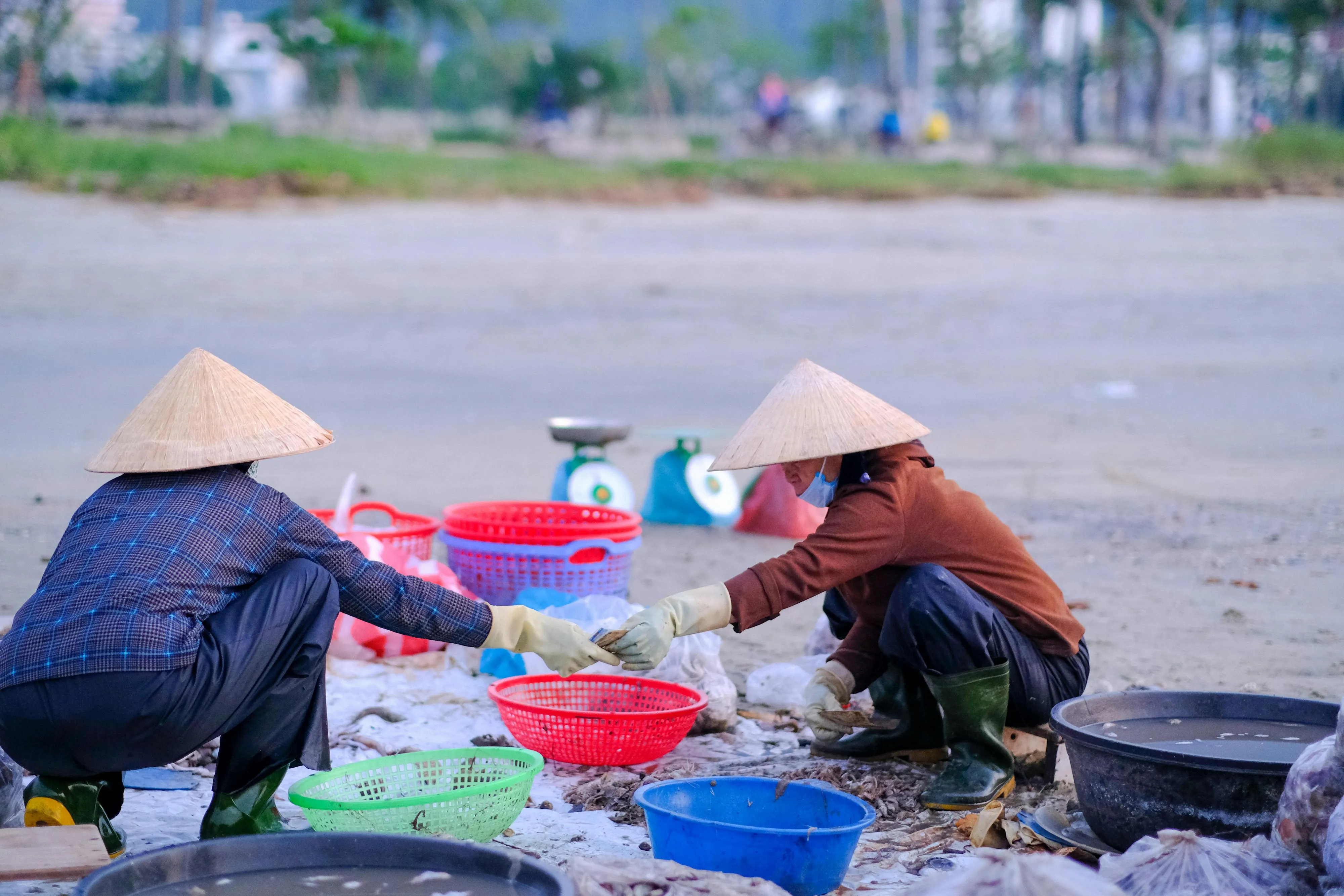 Đan on pexels