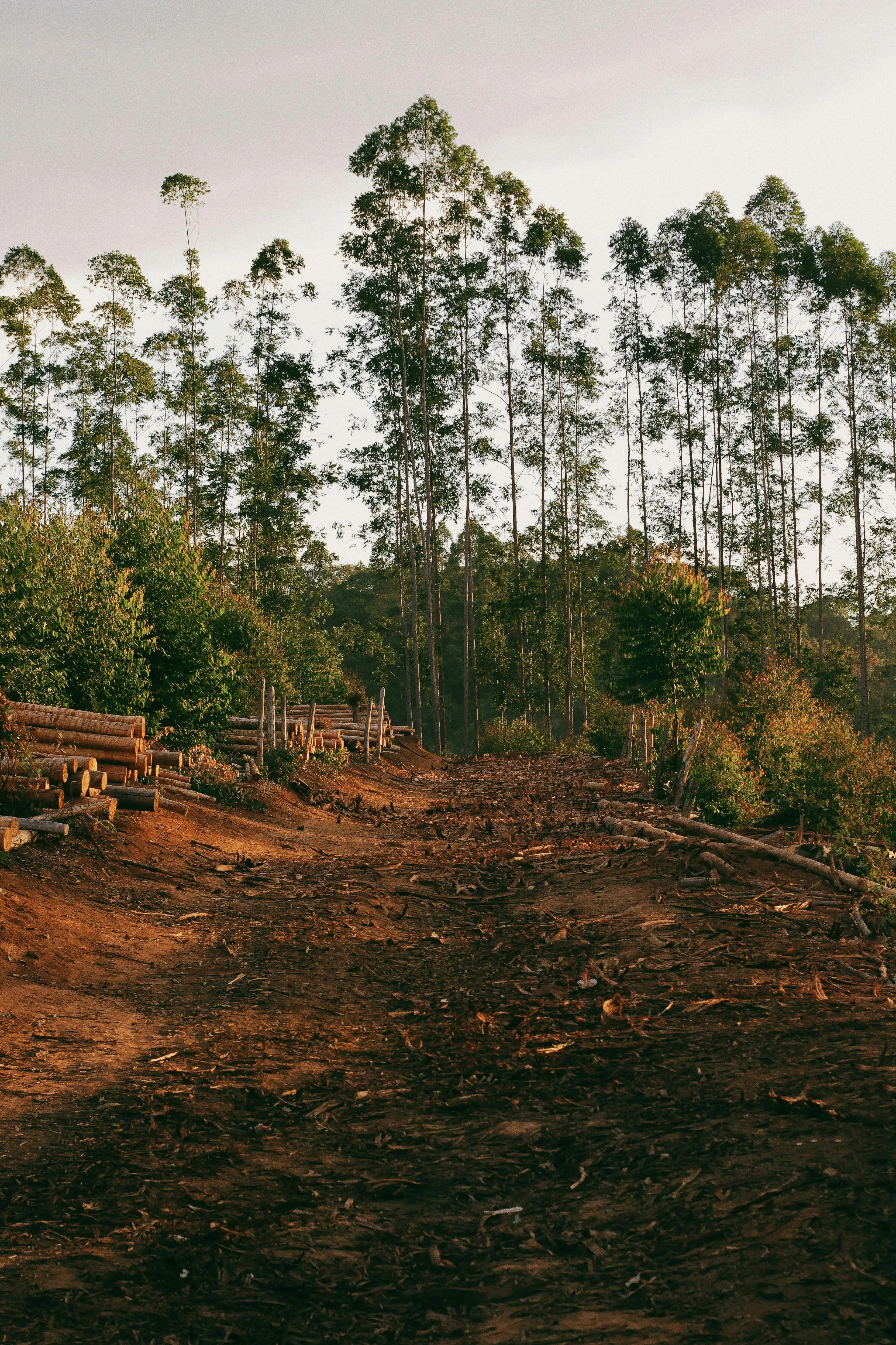 Andre Moura on pexels