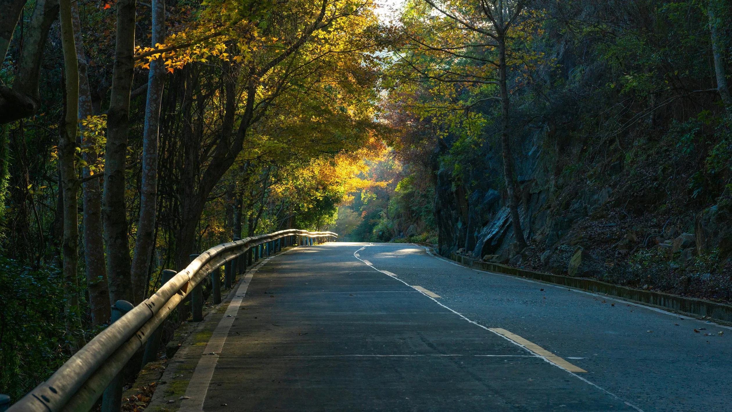 中央 水 on Pexels