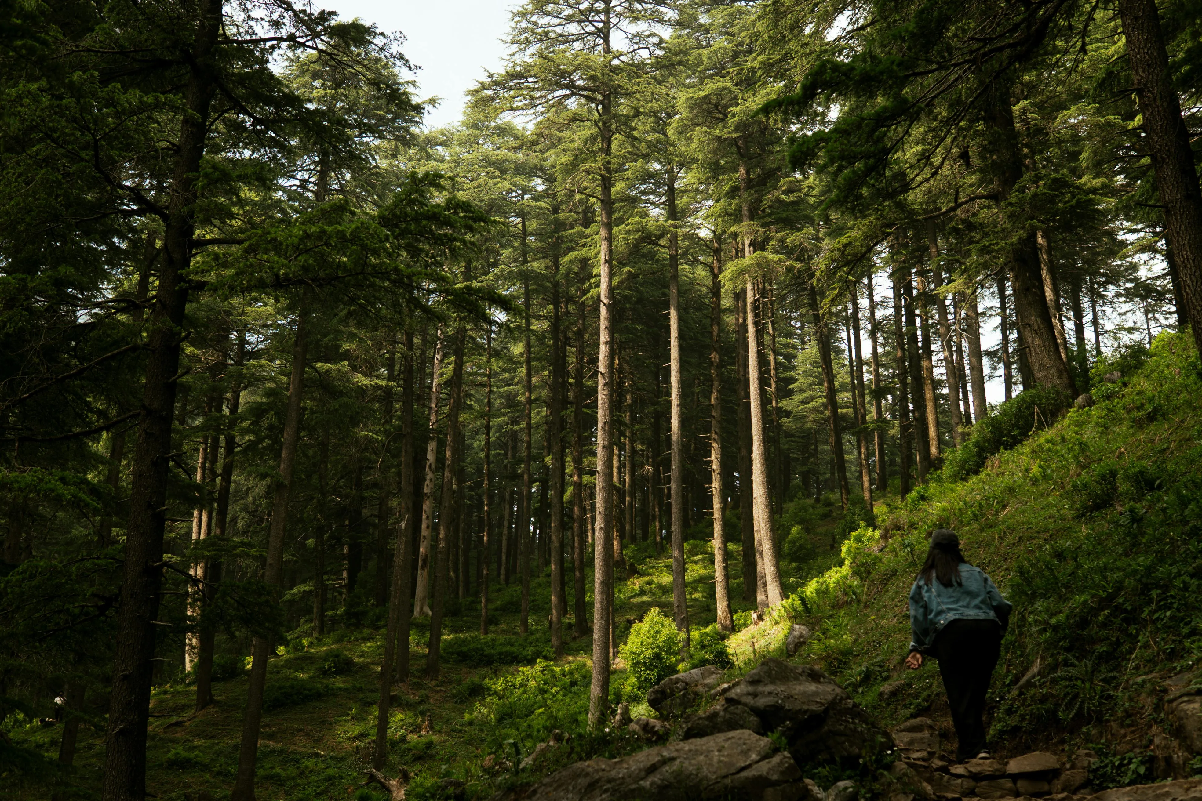 18 Spring Activities That Encouraged Movement