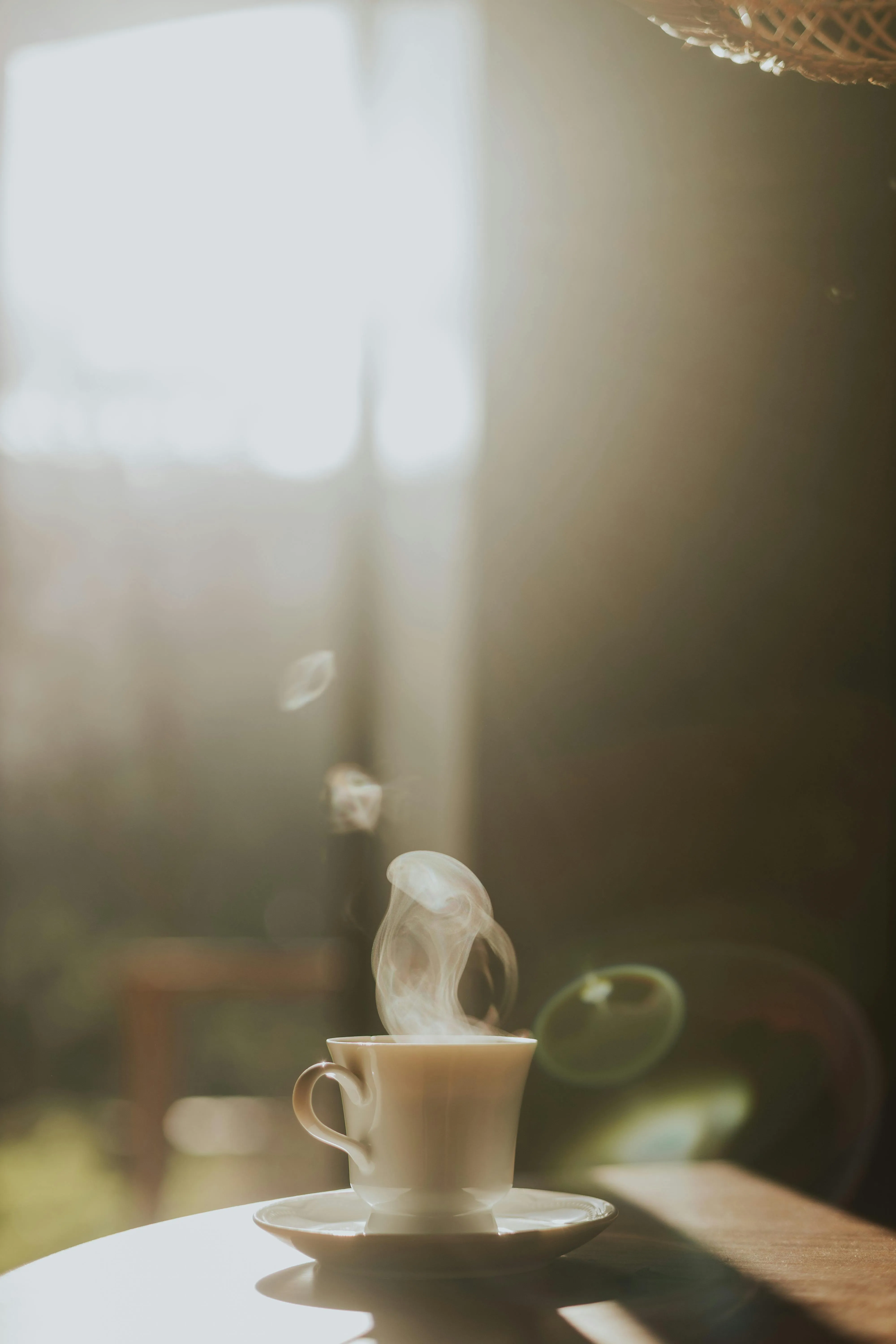 Letícia Alvares on Pexels