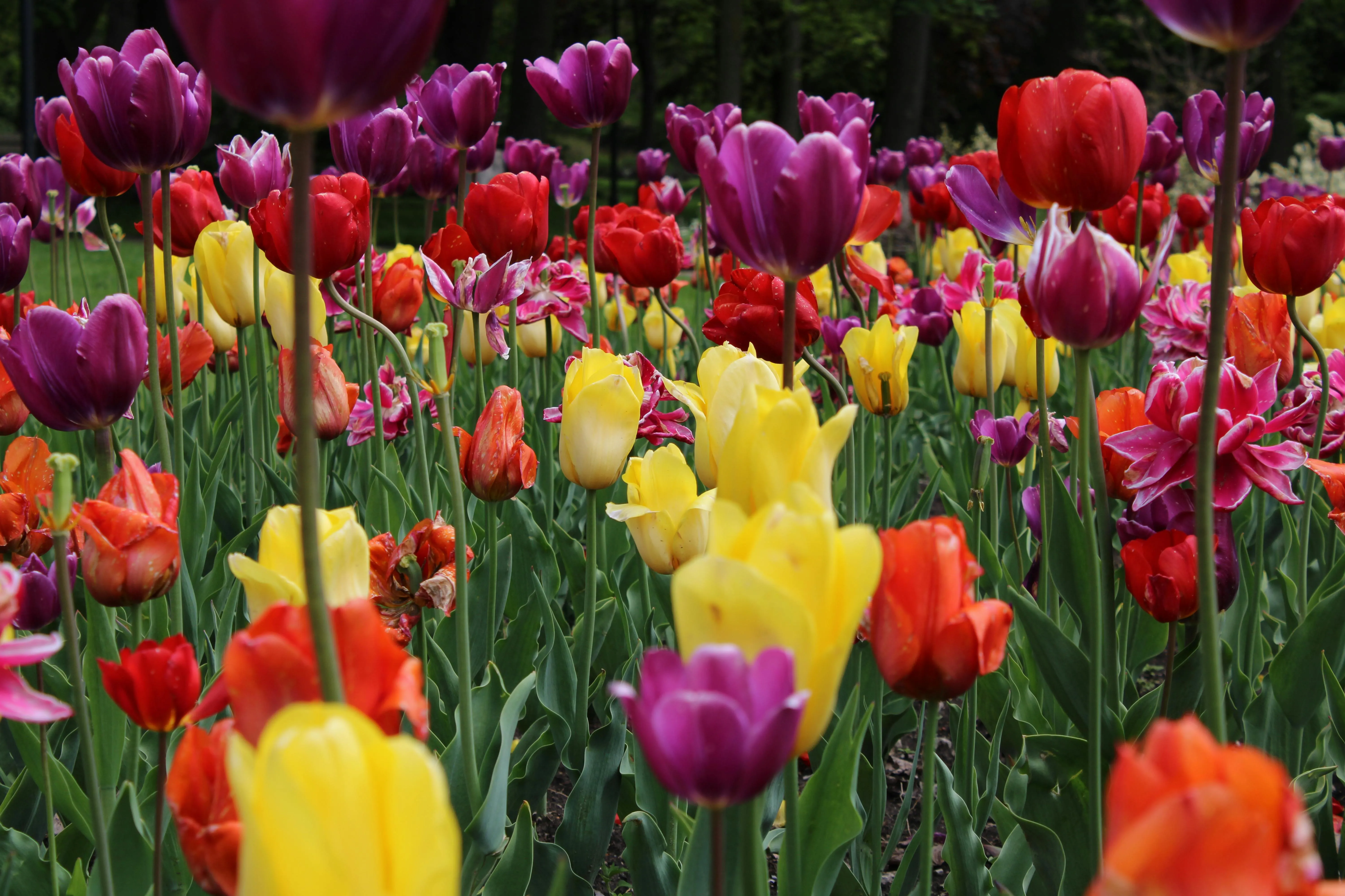 15 Spring Events People Looked Forward To