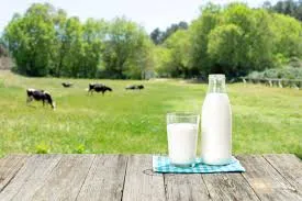 Image from The Little Big Dairy Co