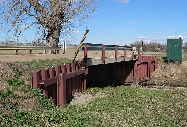 Ammodramus on Wikimedia Commons