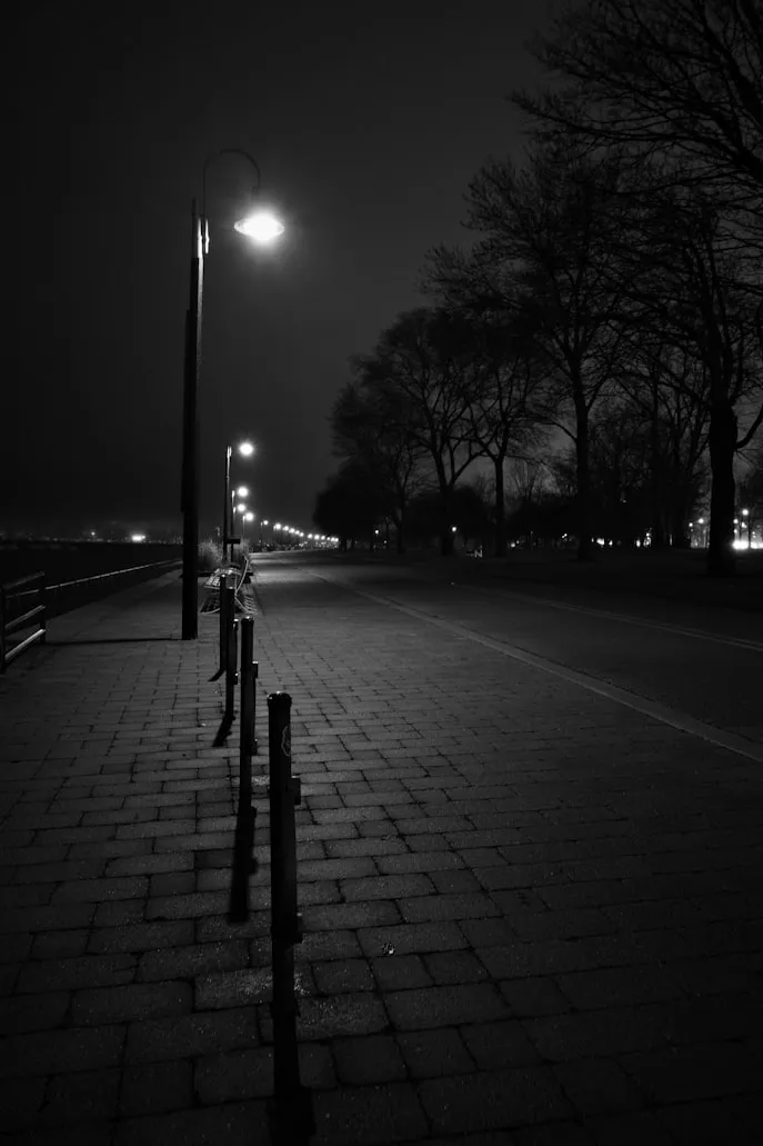 Tyler Rooney from Unsplash