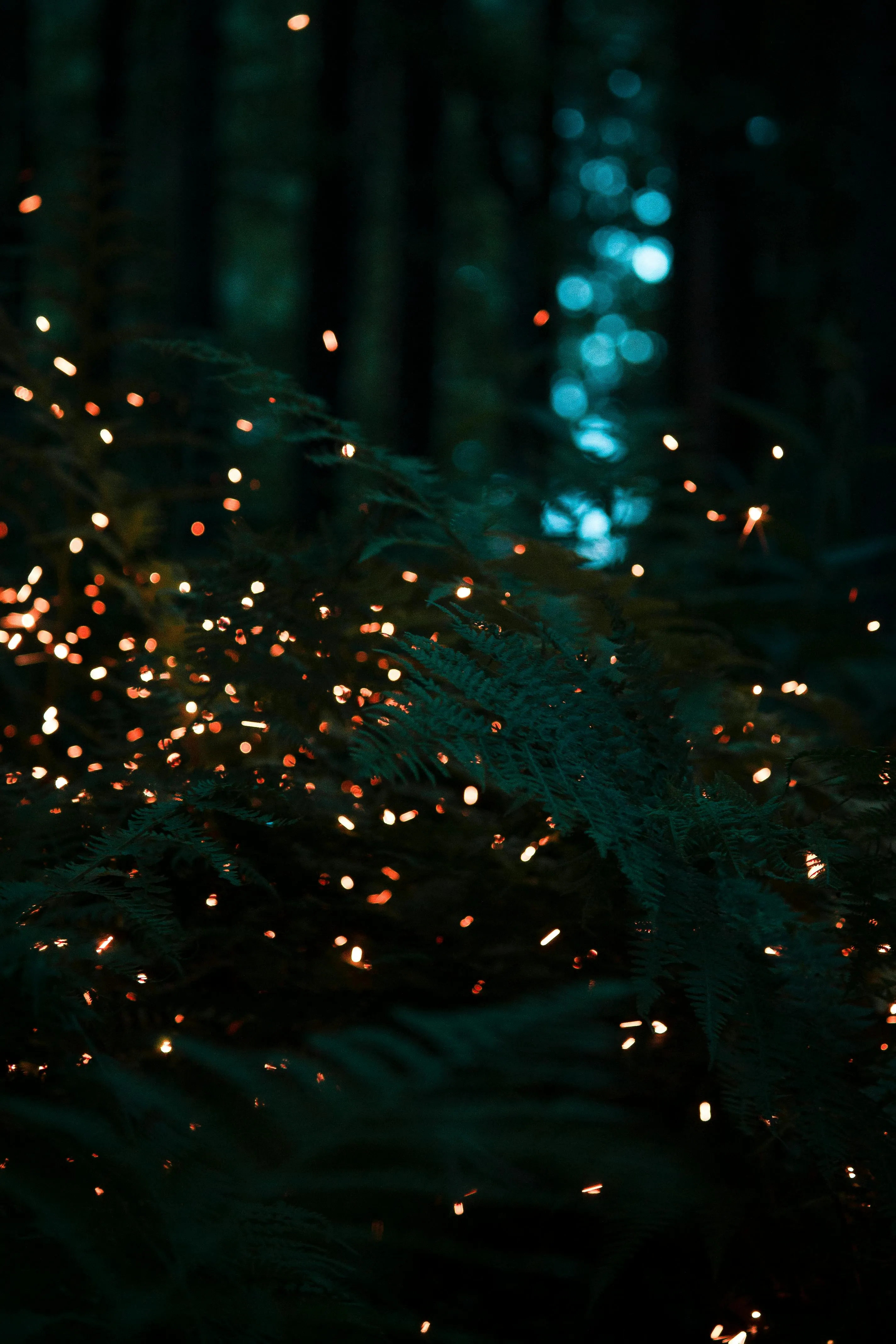 Danila Popov on Pexels 