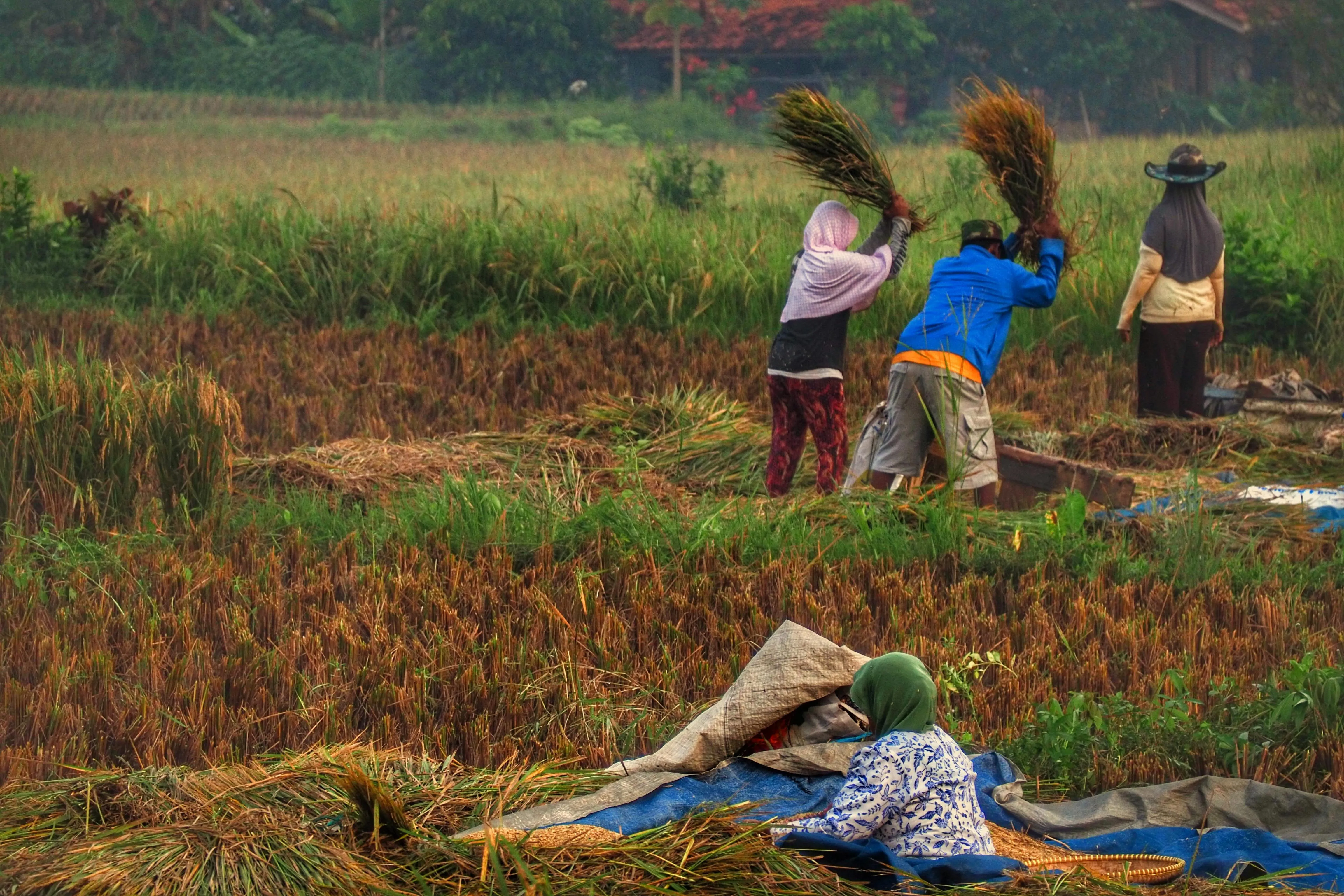 Ruyat Supriazi on pexels