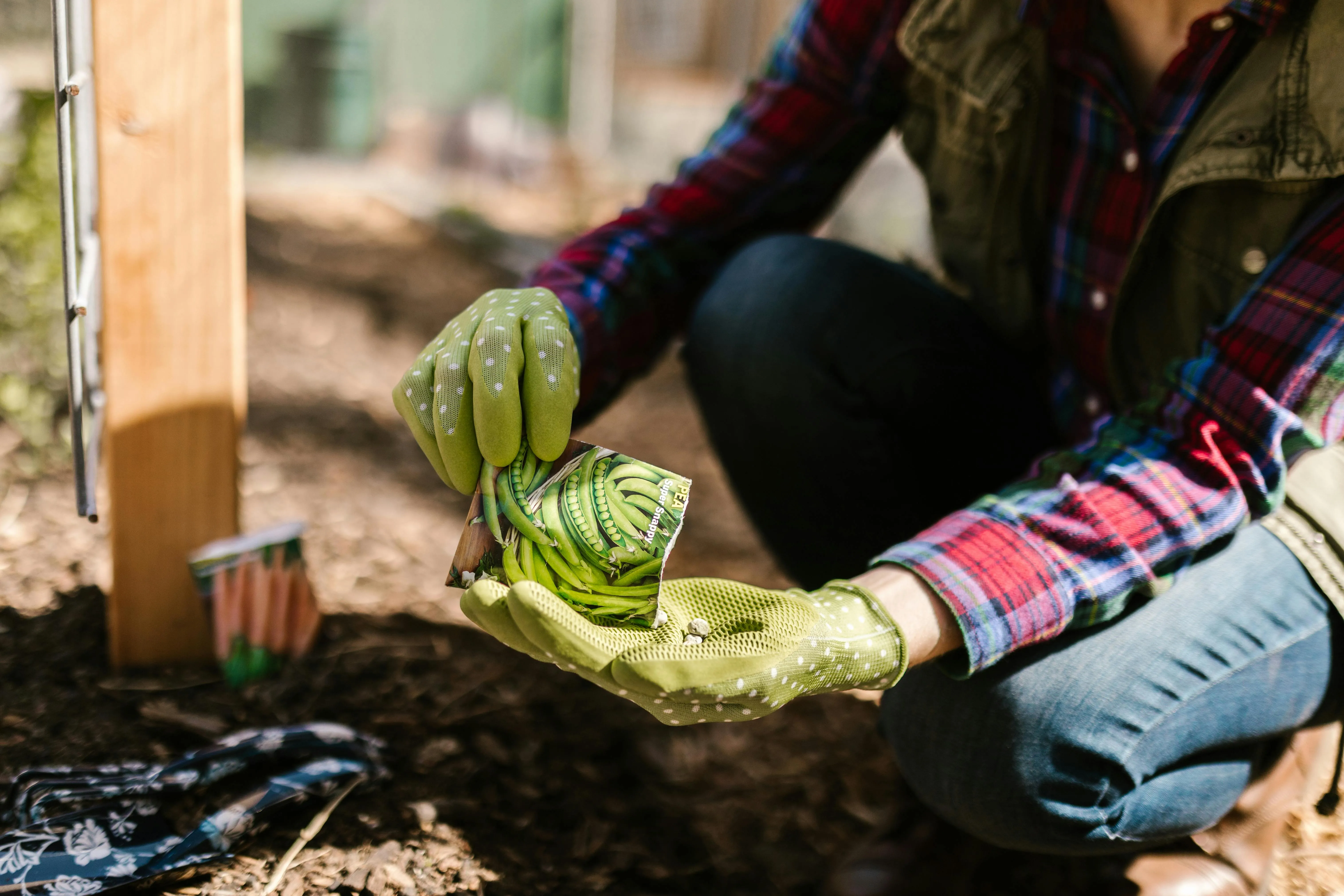 RDNE Stock project on Pexels