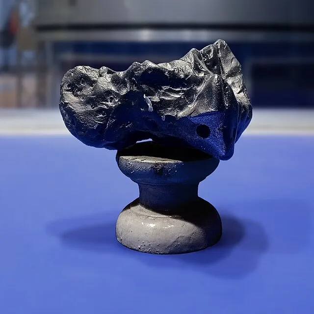 Tausheef Hassan on Wikimedia Commons