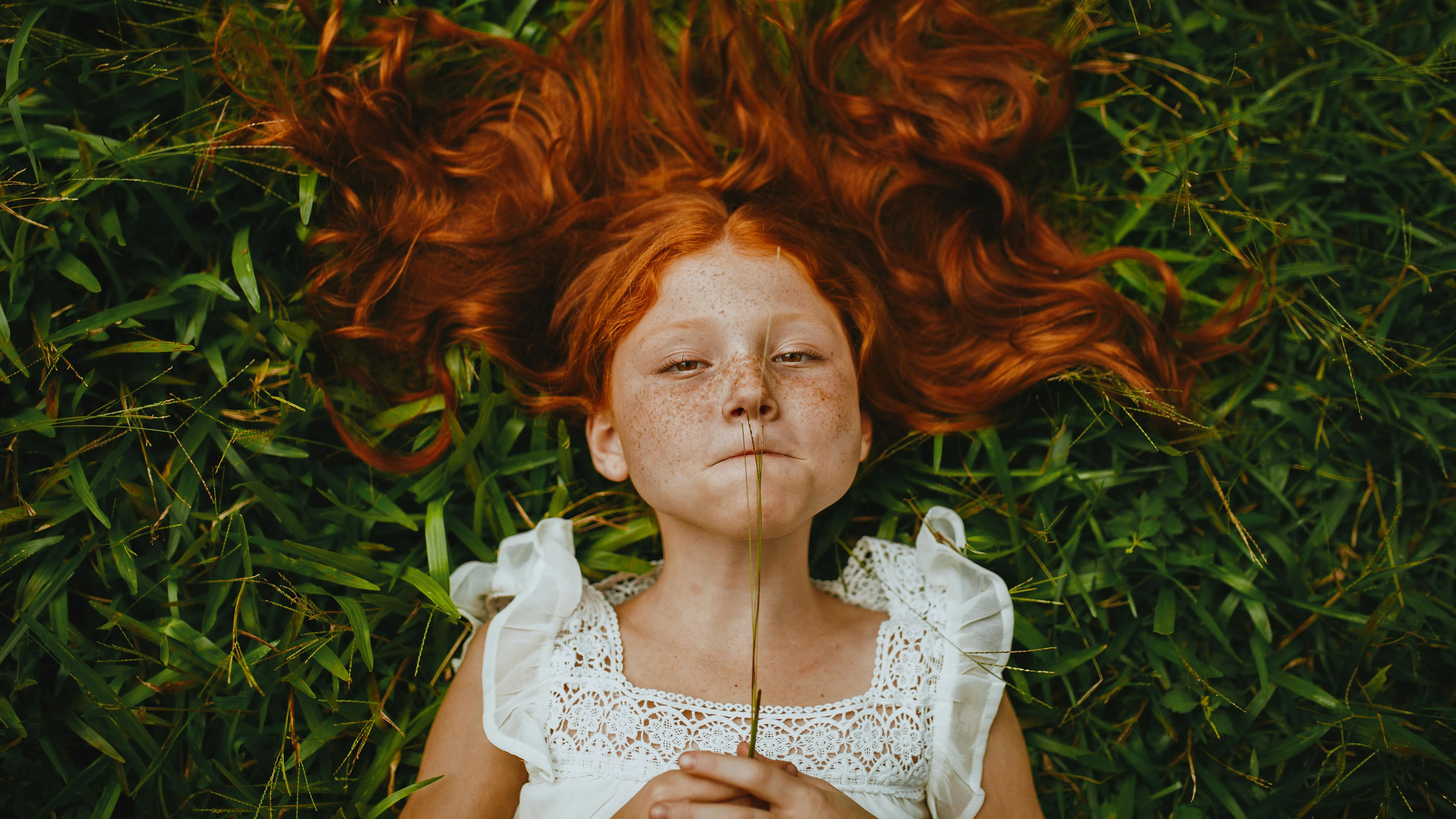 Matheus Bertelli on Pexels