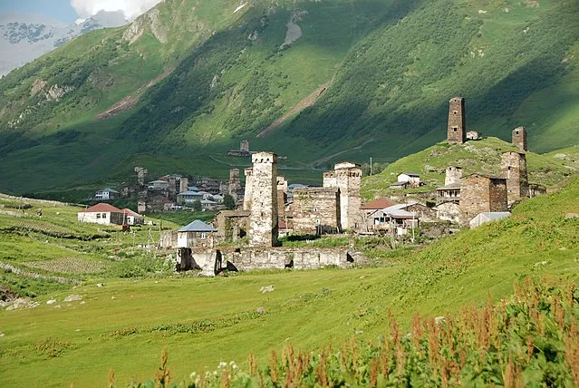 Florian Pinel on Wikimedia Commons