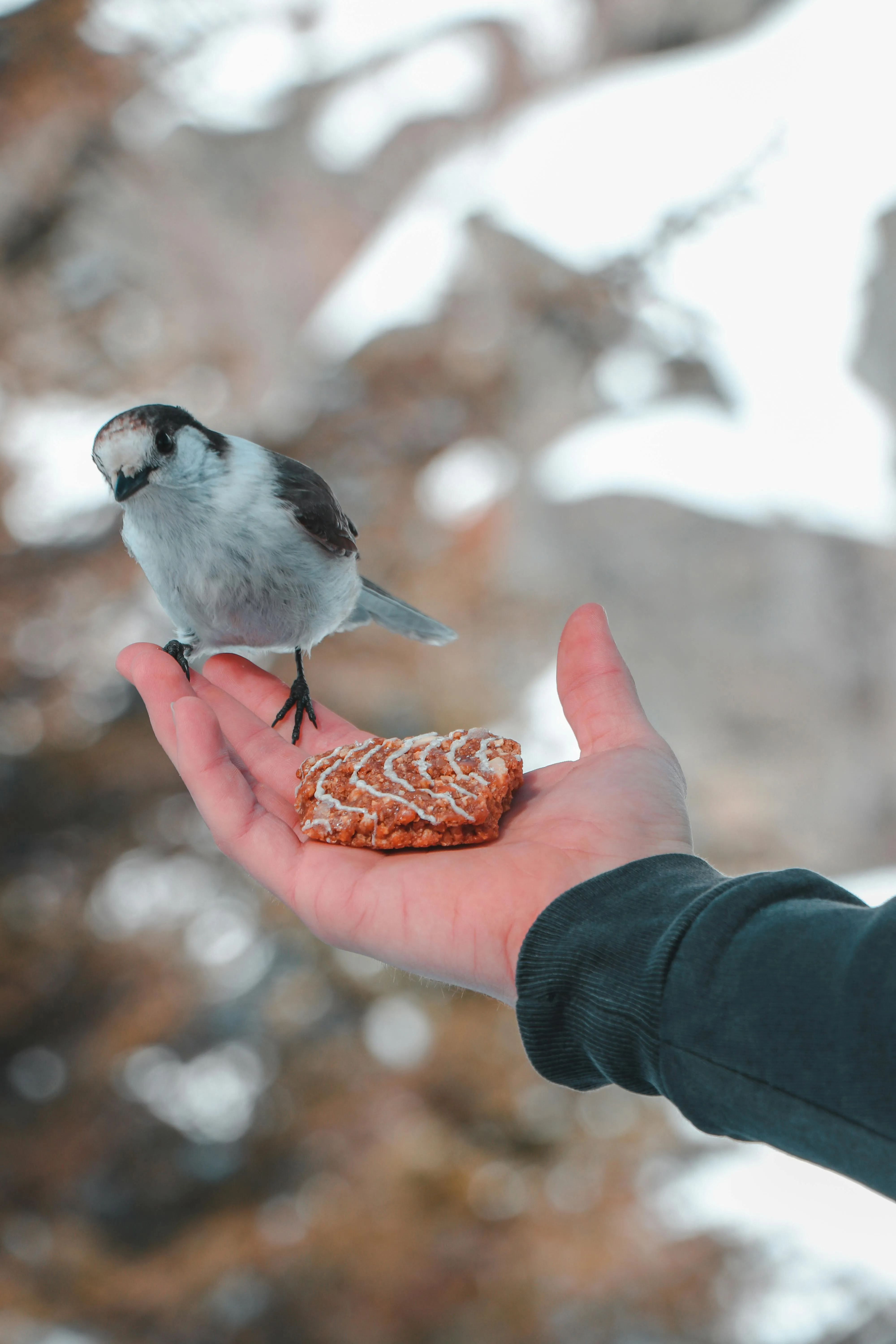 Davyd Bortnik on pexels