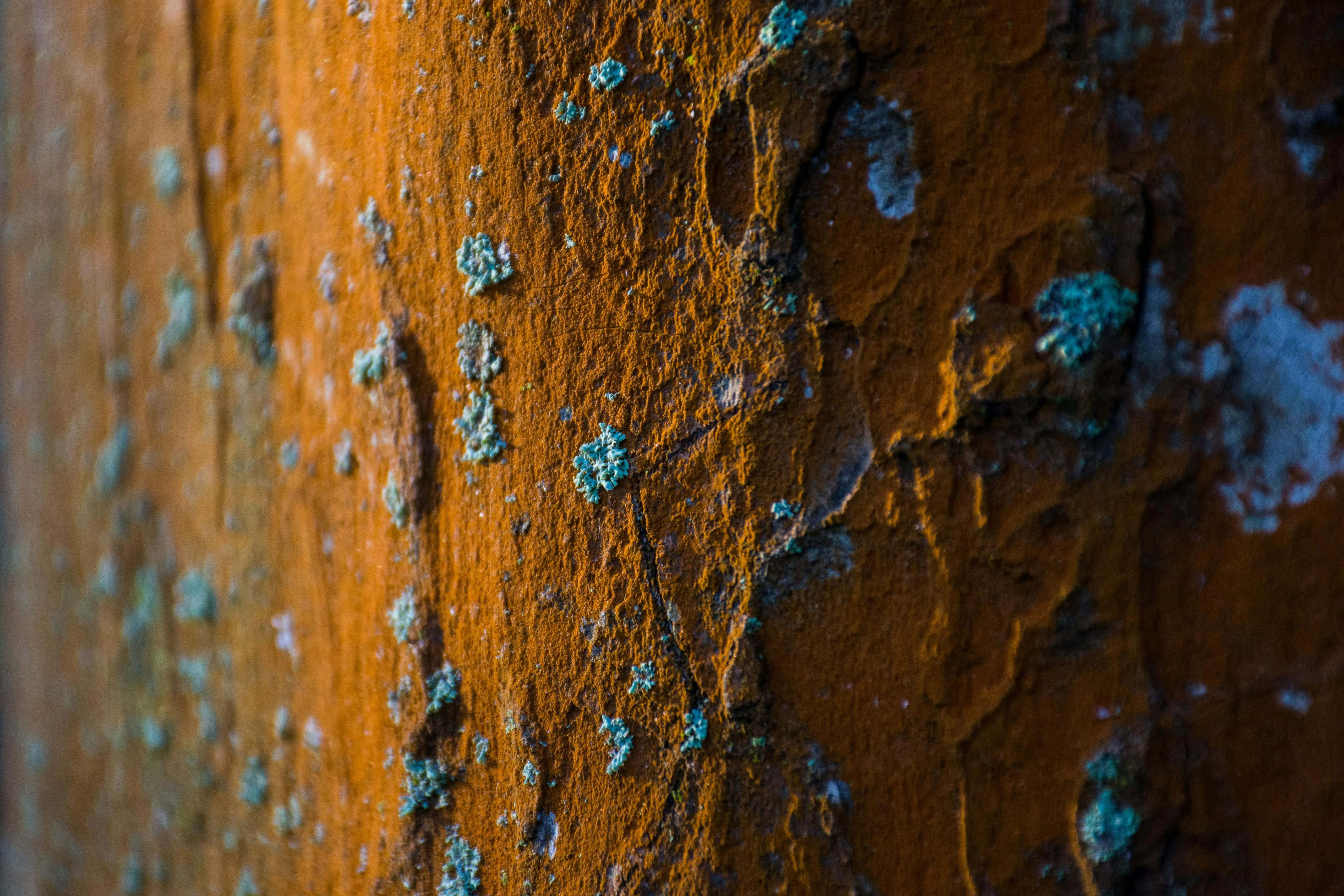 Philip Ackermann on pexels