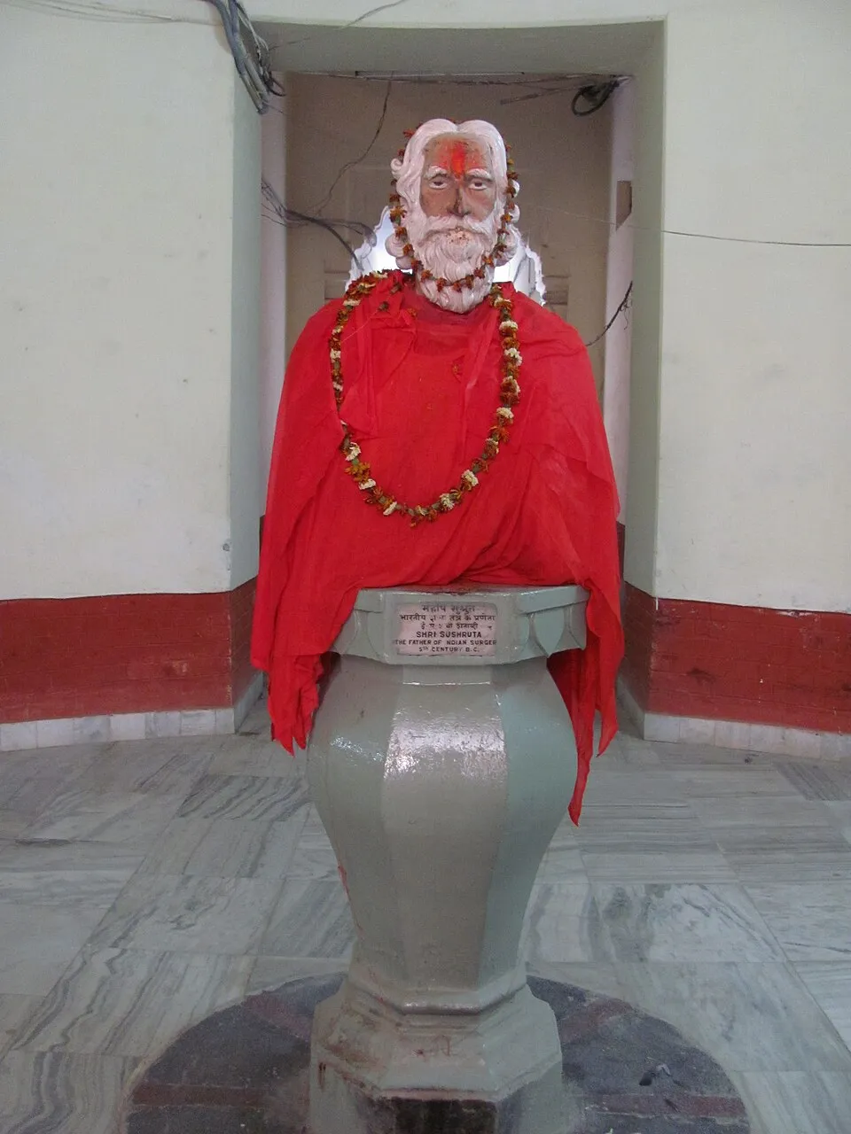 Dr.jayan.d on Wikimedia Commons