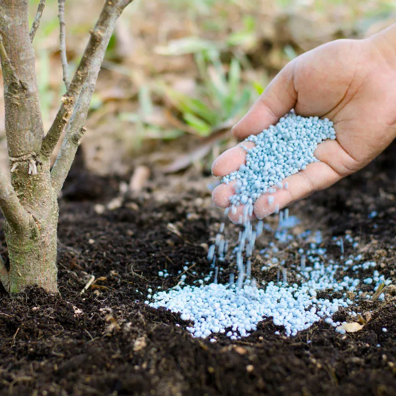 Image from Southland Organics