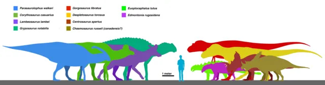 A Cynical Idealist on Wikimedia Commons