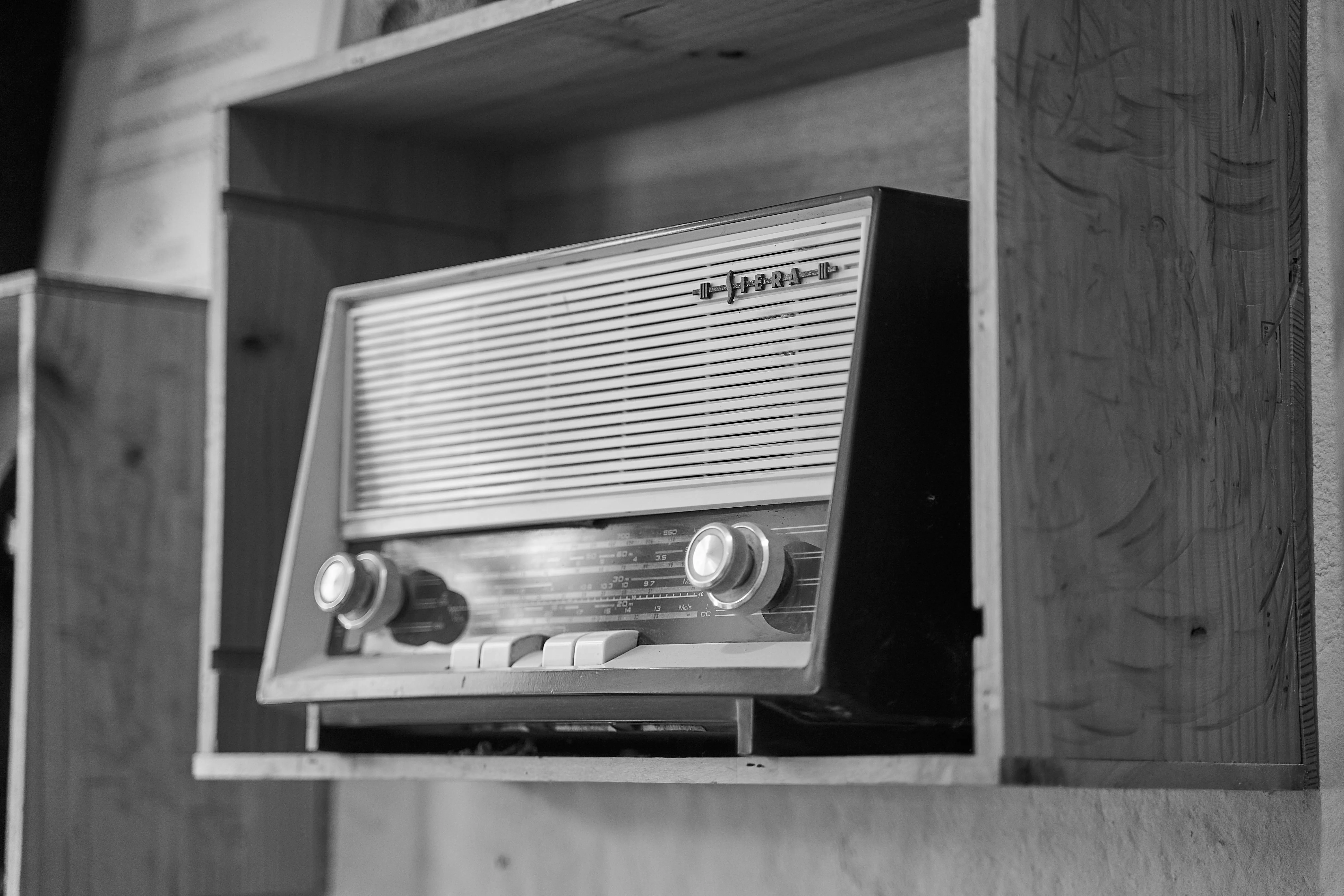 Wijs (Wise) from Pexels