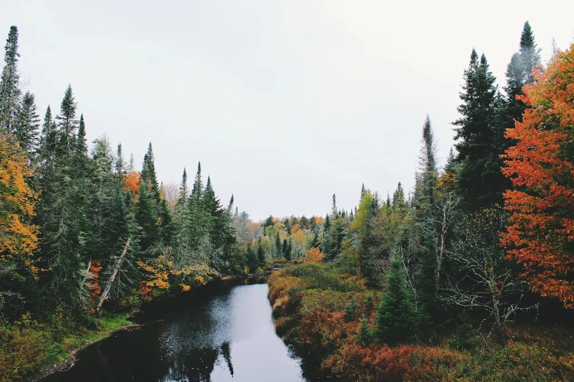 Noah Silliman from Unsplash