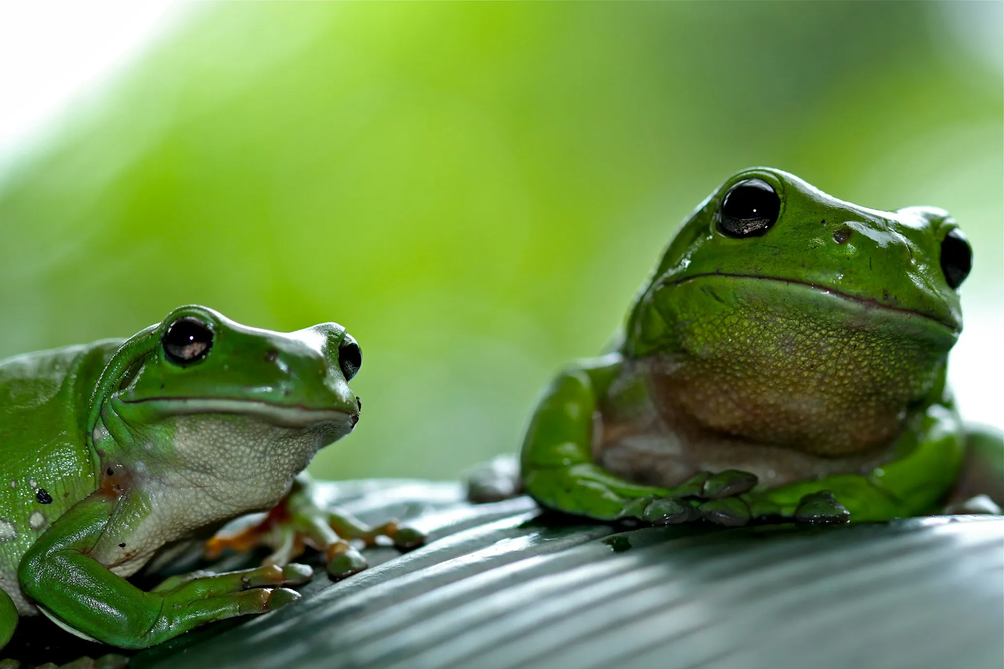 gary tresize on Unsplash