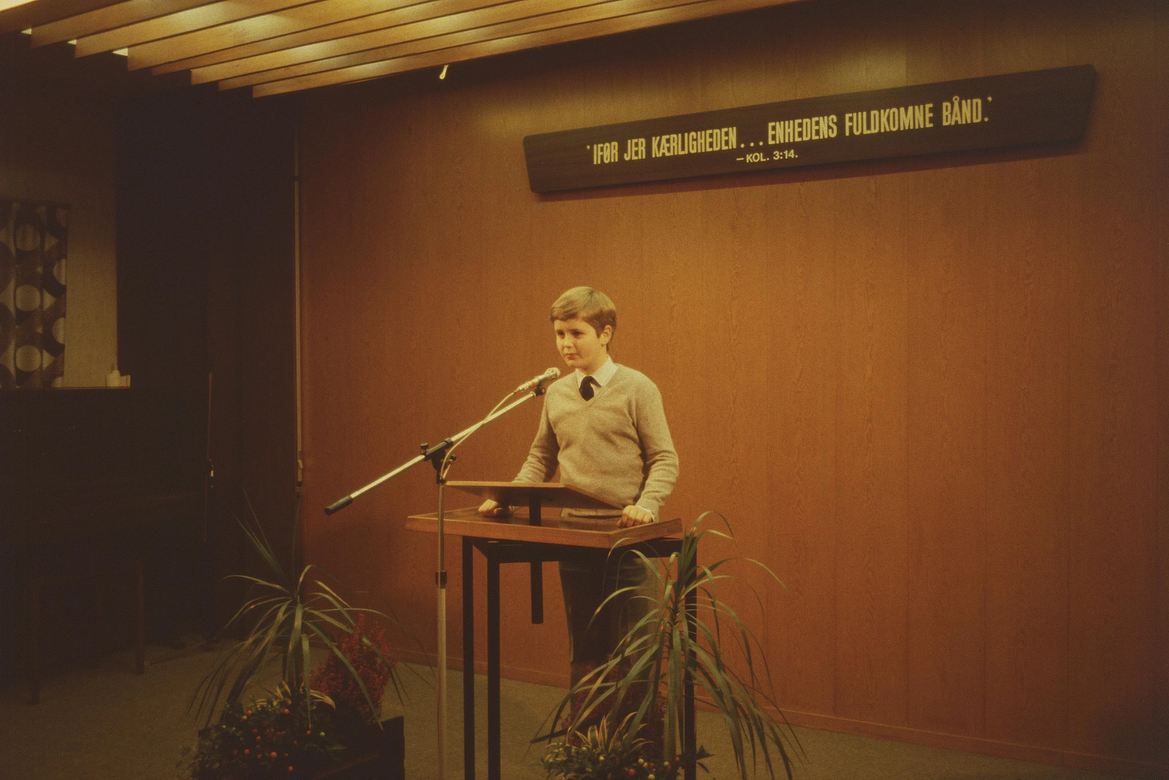 Beninu Andersen on Pexels