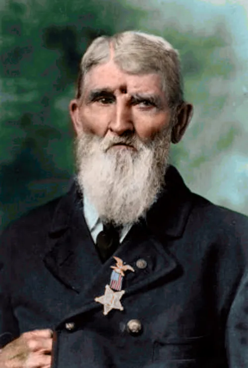 Cassowary Colorizations on Wikimedia Commons