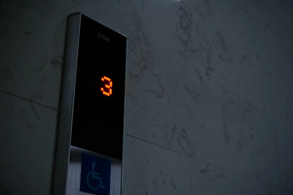 HorseRat from Unsplash