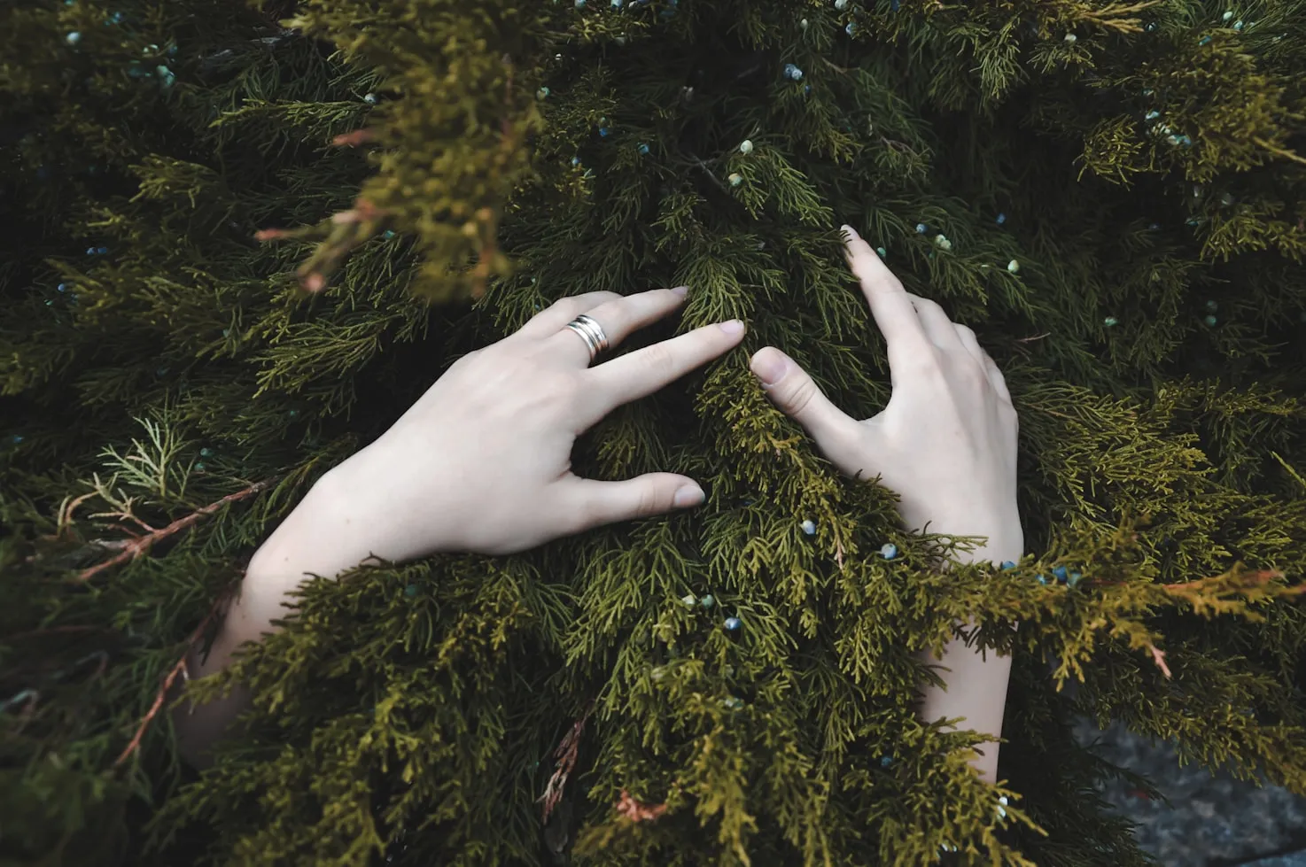 S L on Unsplash