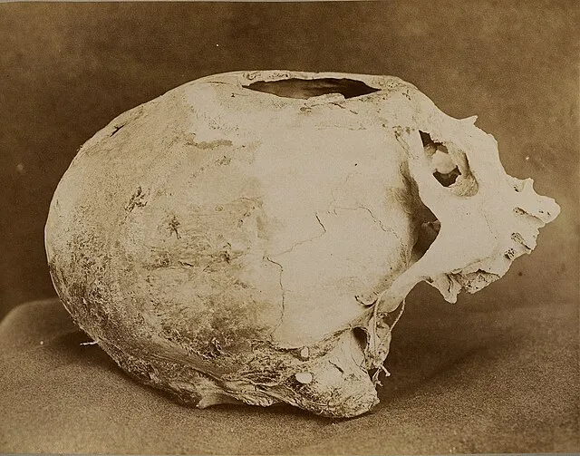 OTIS on Wikimedia Commons