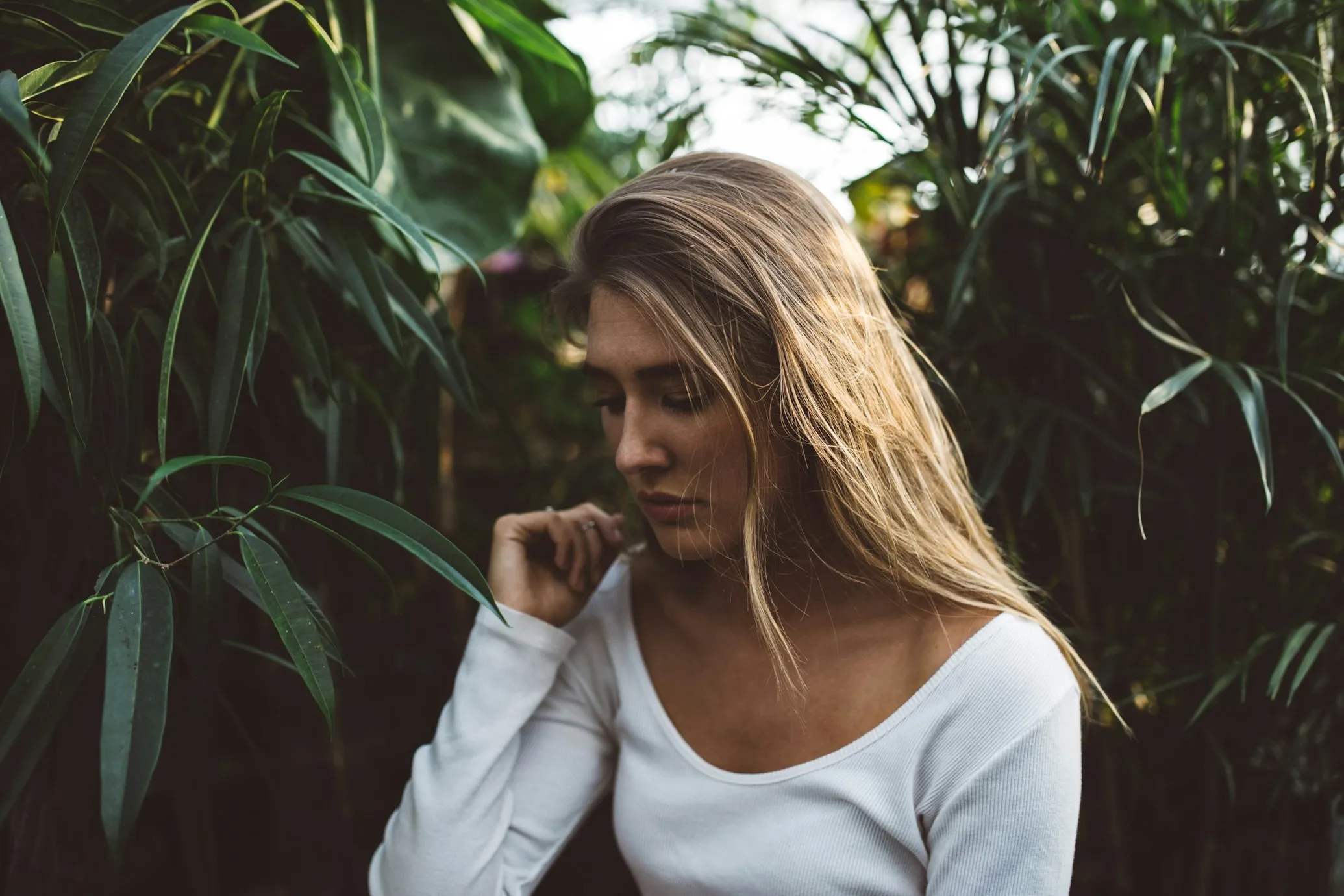 Brooke Cagle from Unsplash