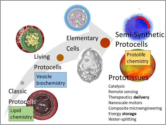 Image from ScienceDirect.com