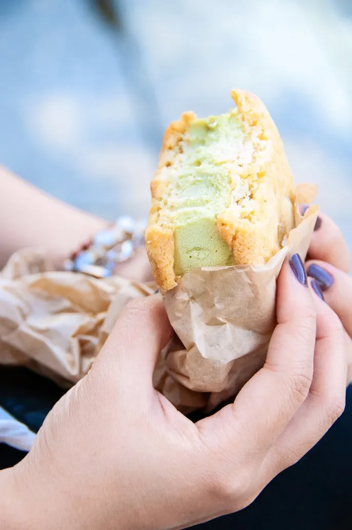 Paulo Evangelista on Unsplash