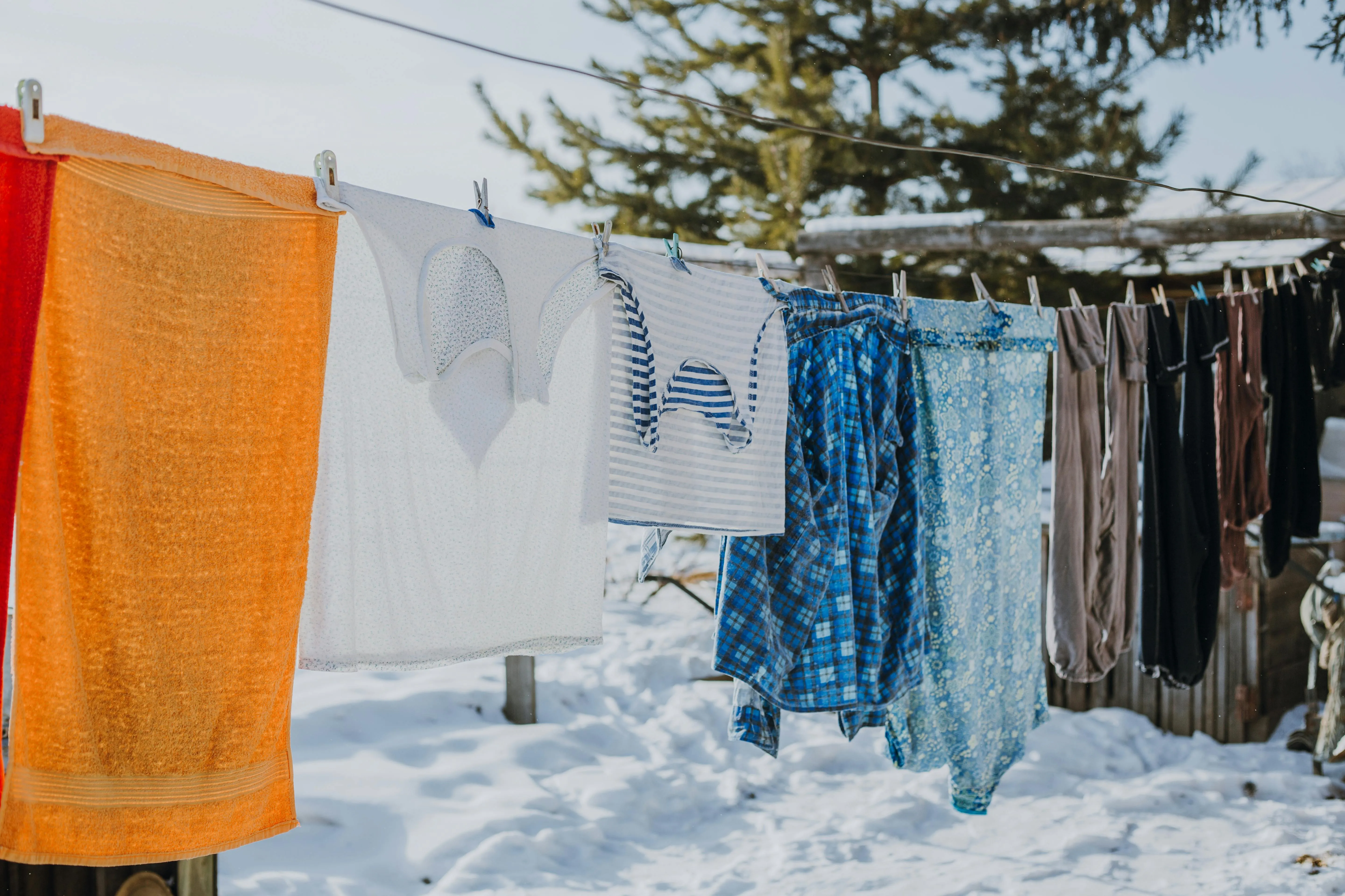 Ivan Babydov on Pexels