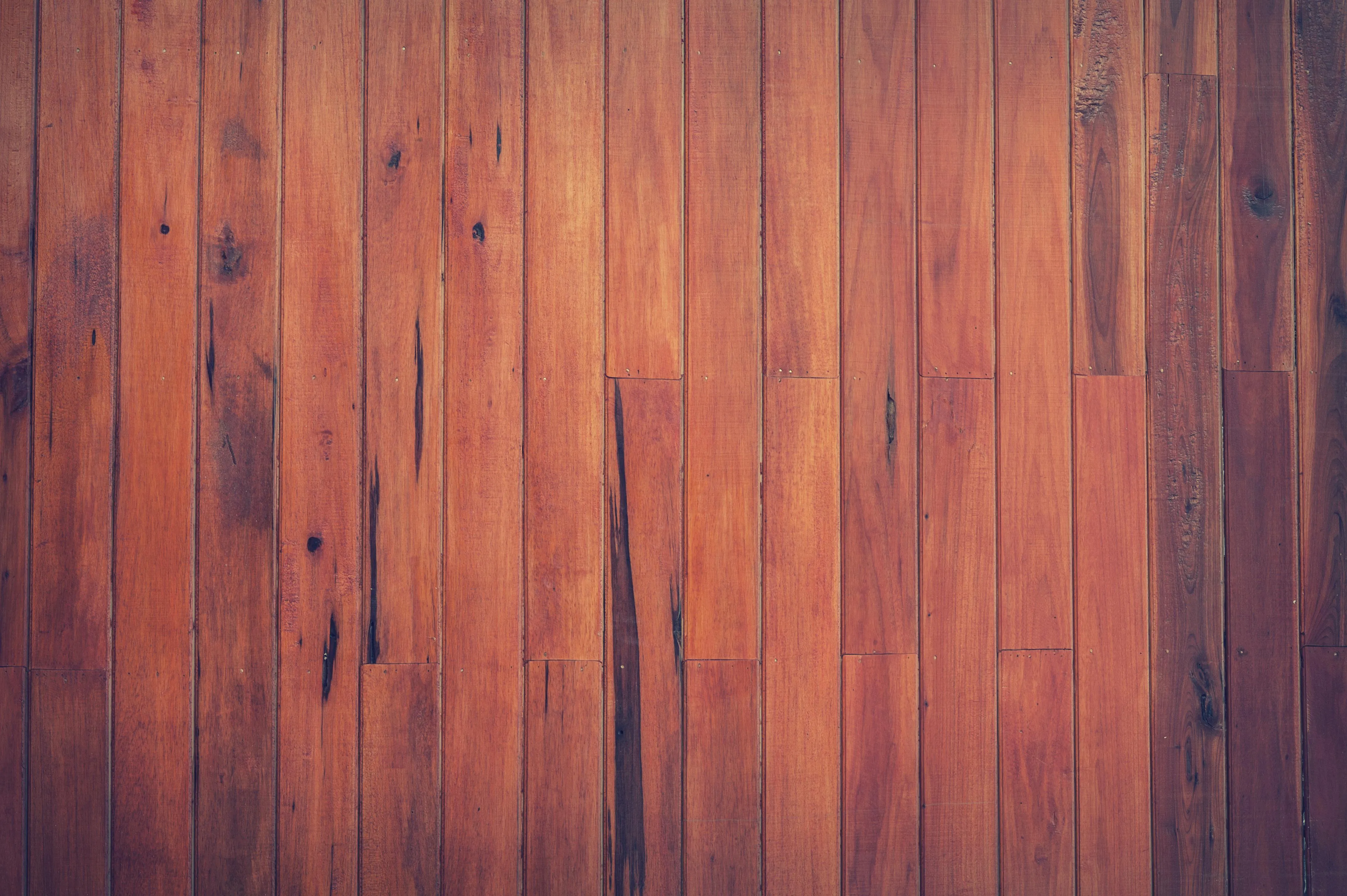FWStudio on Pexels