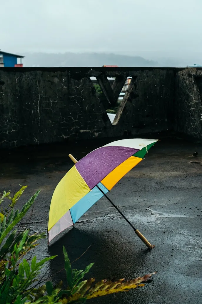 Jody from Unsplash
