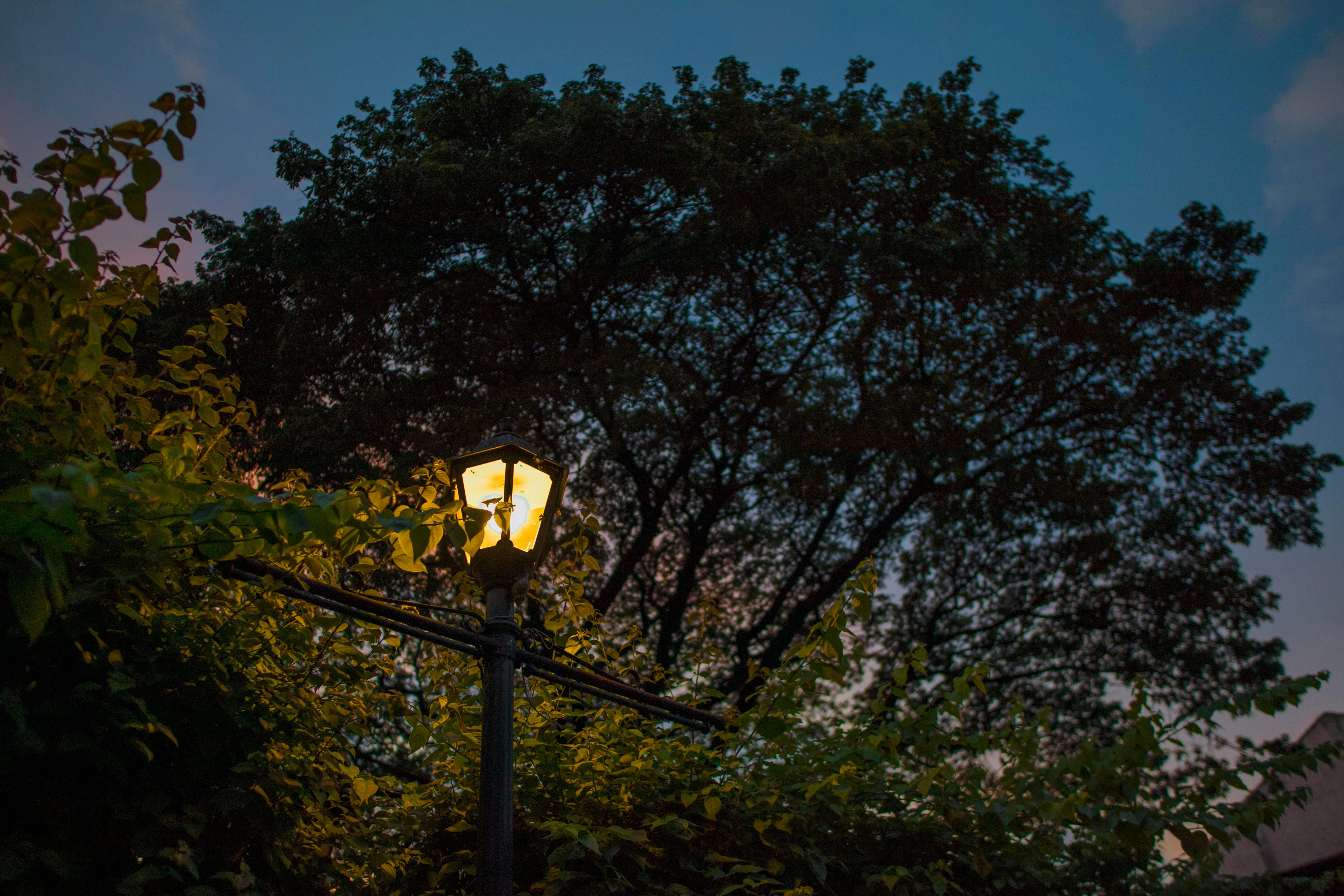 Wilson Ren on Pexels