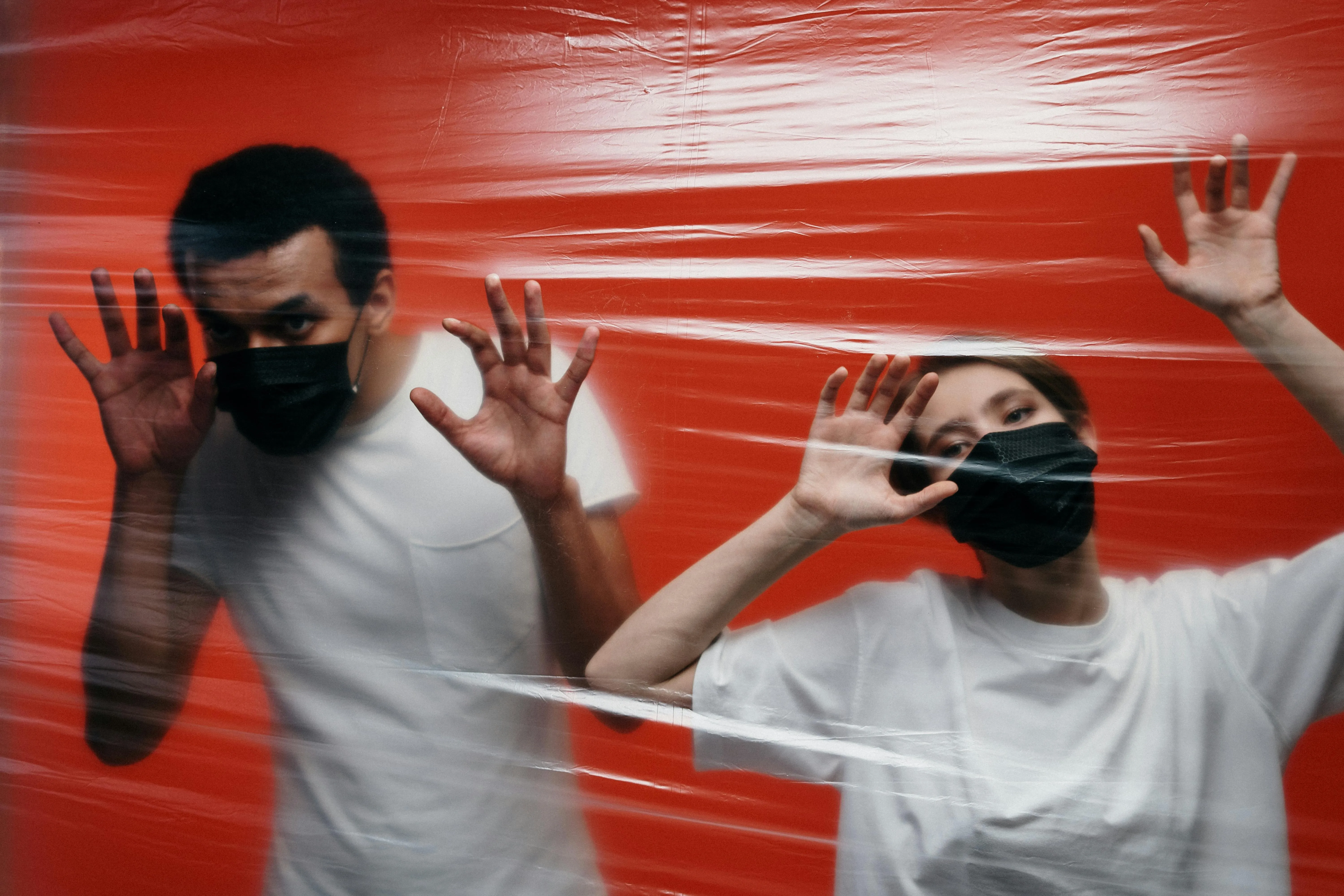 cottonbro studio on Pexels