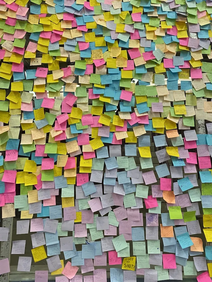 Annie Vo on Unsplash