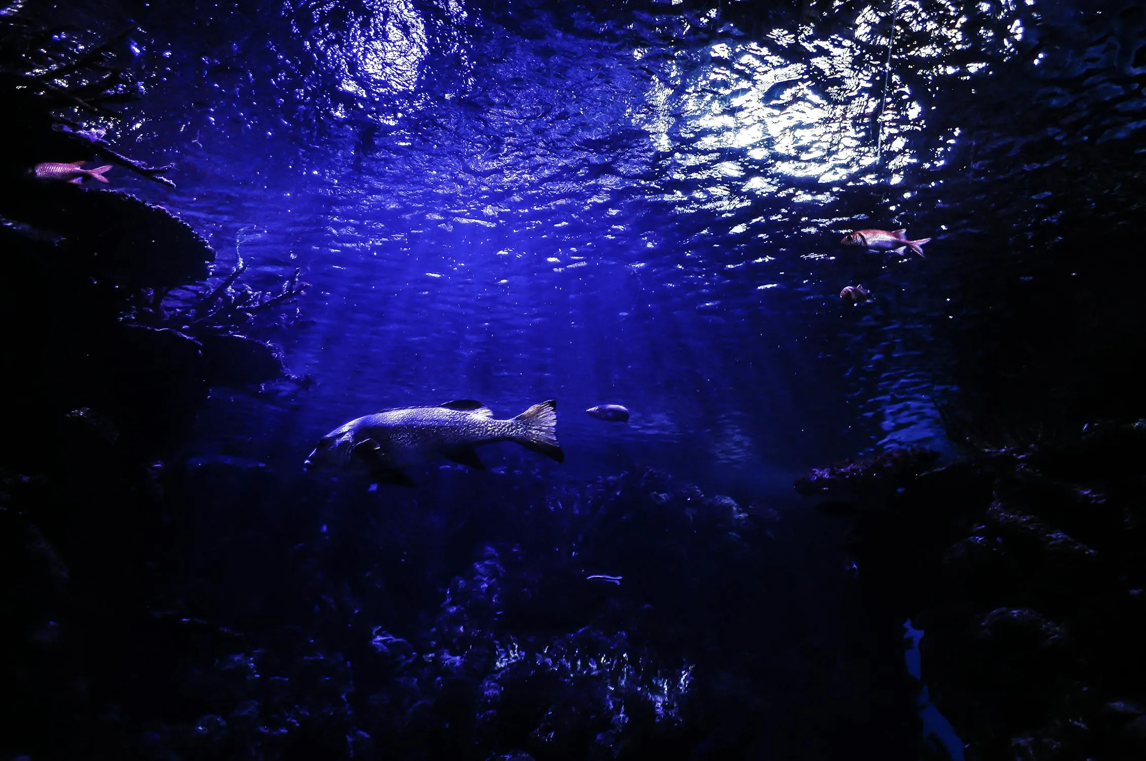 12 Unsolved Mysteries of the Deep Ocean
