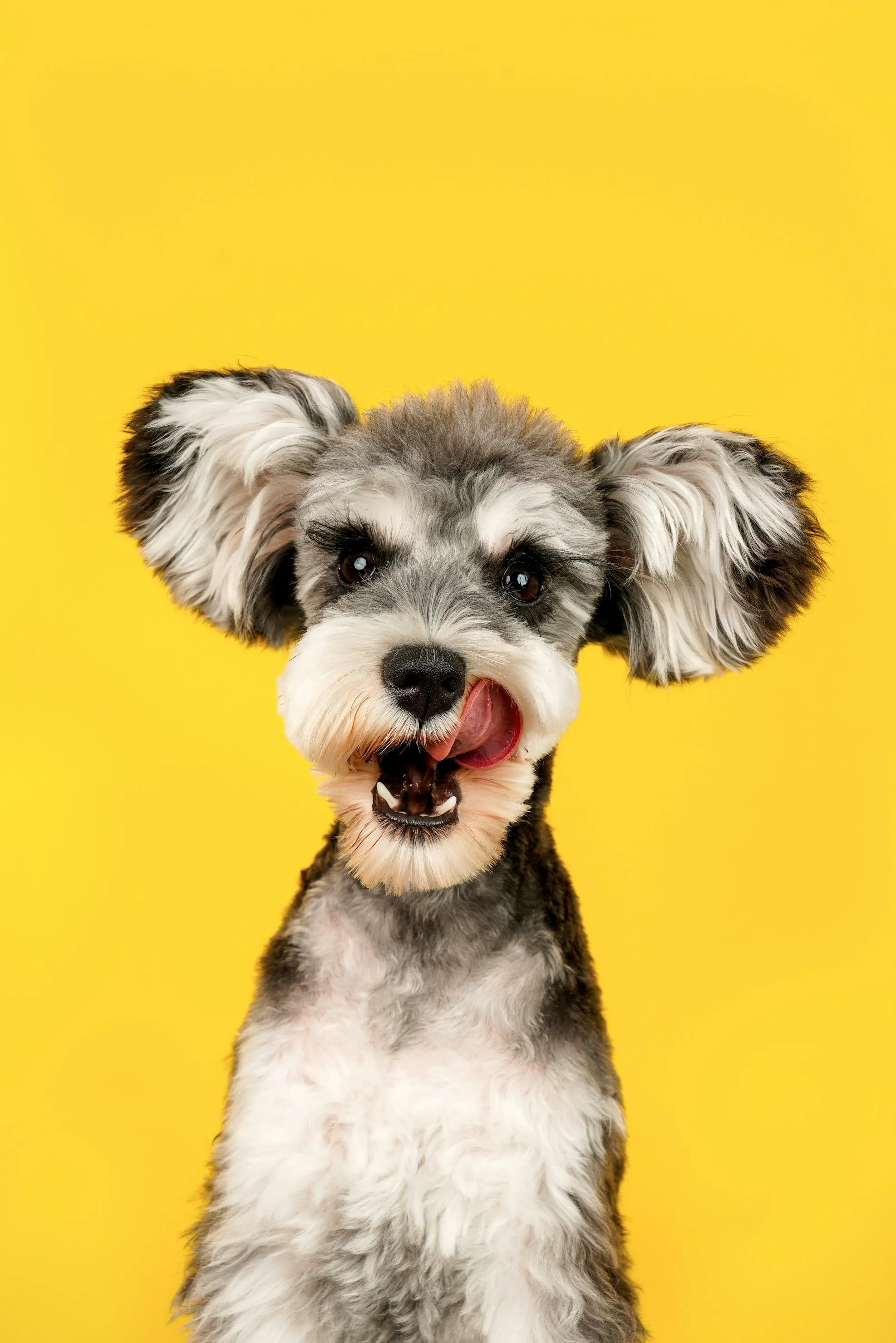 Alvan Nee from Unsplash