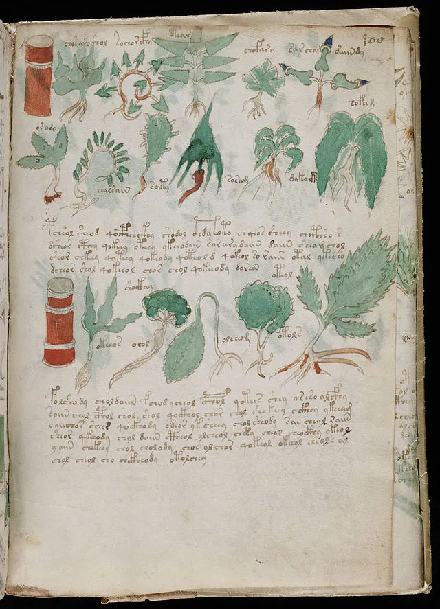 Unknown author on Wikimedia Commons
