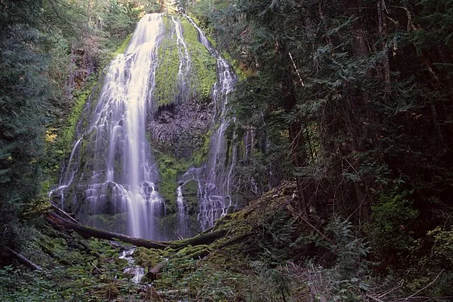 U.S. Forest Service- Pacific Northwest Region on Wikimedia Commons