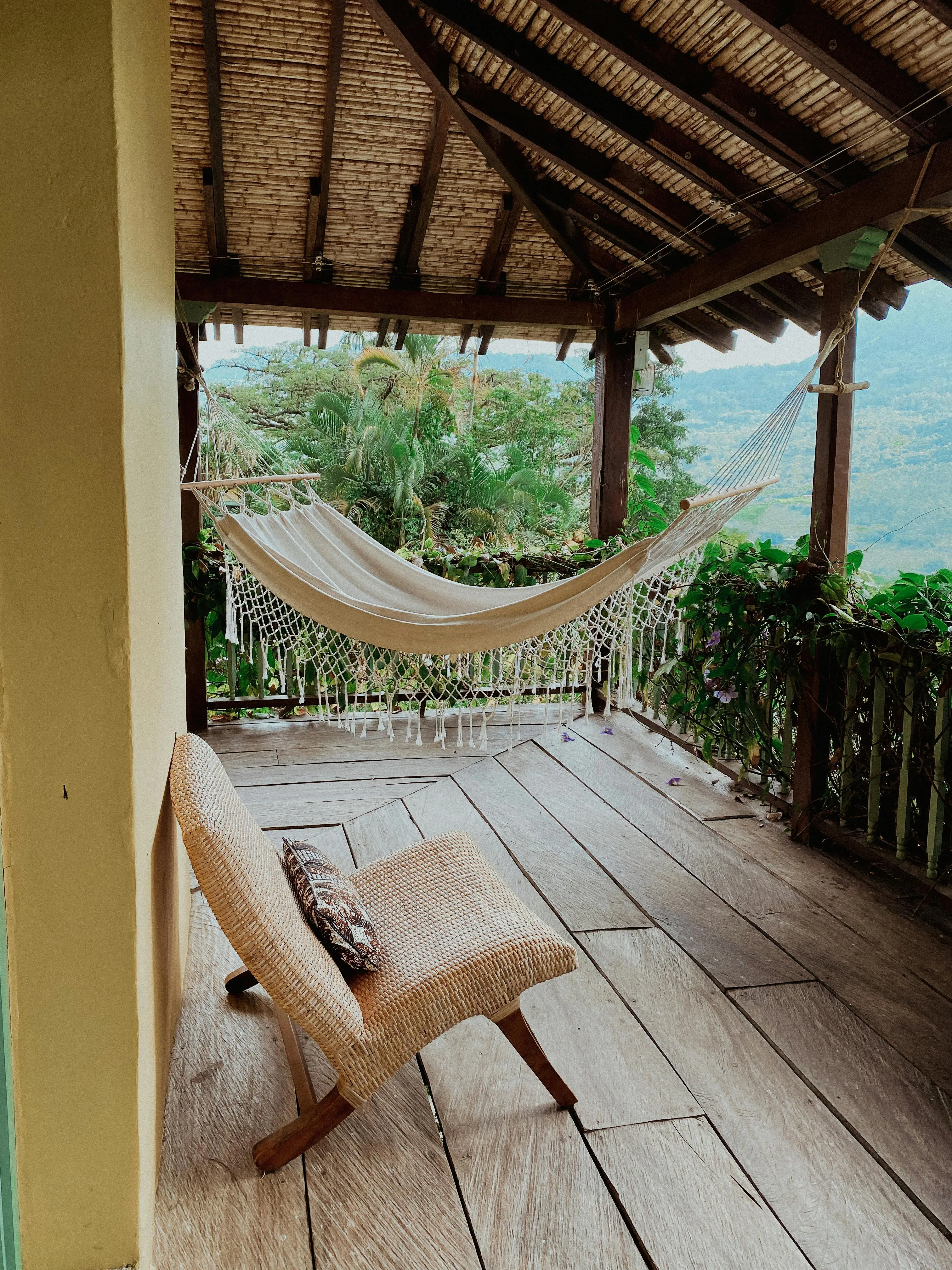 Palu Malerba on Pexels