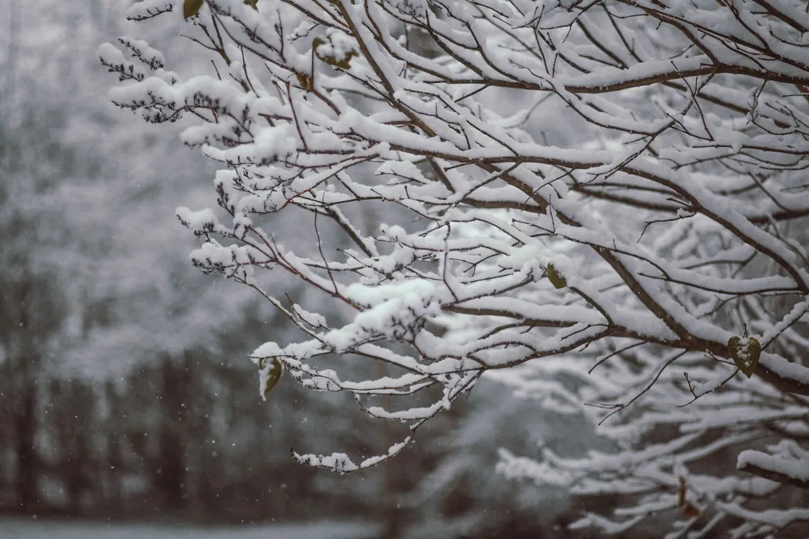 15 Winter Practices That Reduced Daily Stress